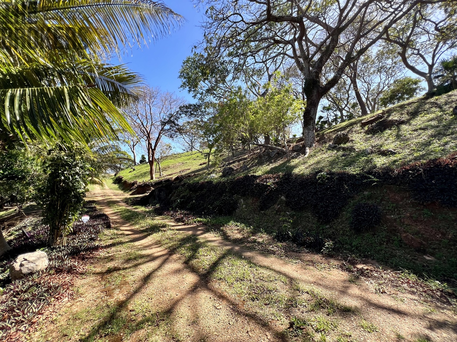 LOT 6 Bodden Bight Estate, Roatan