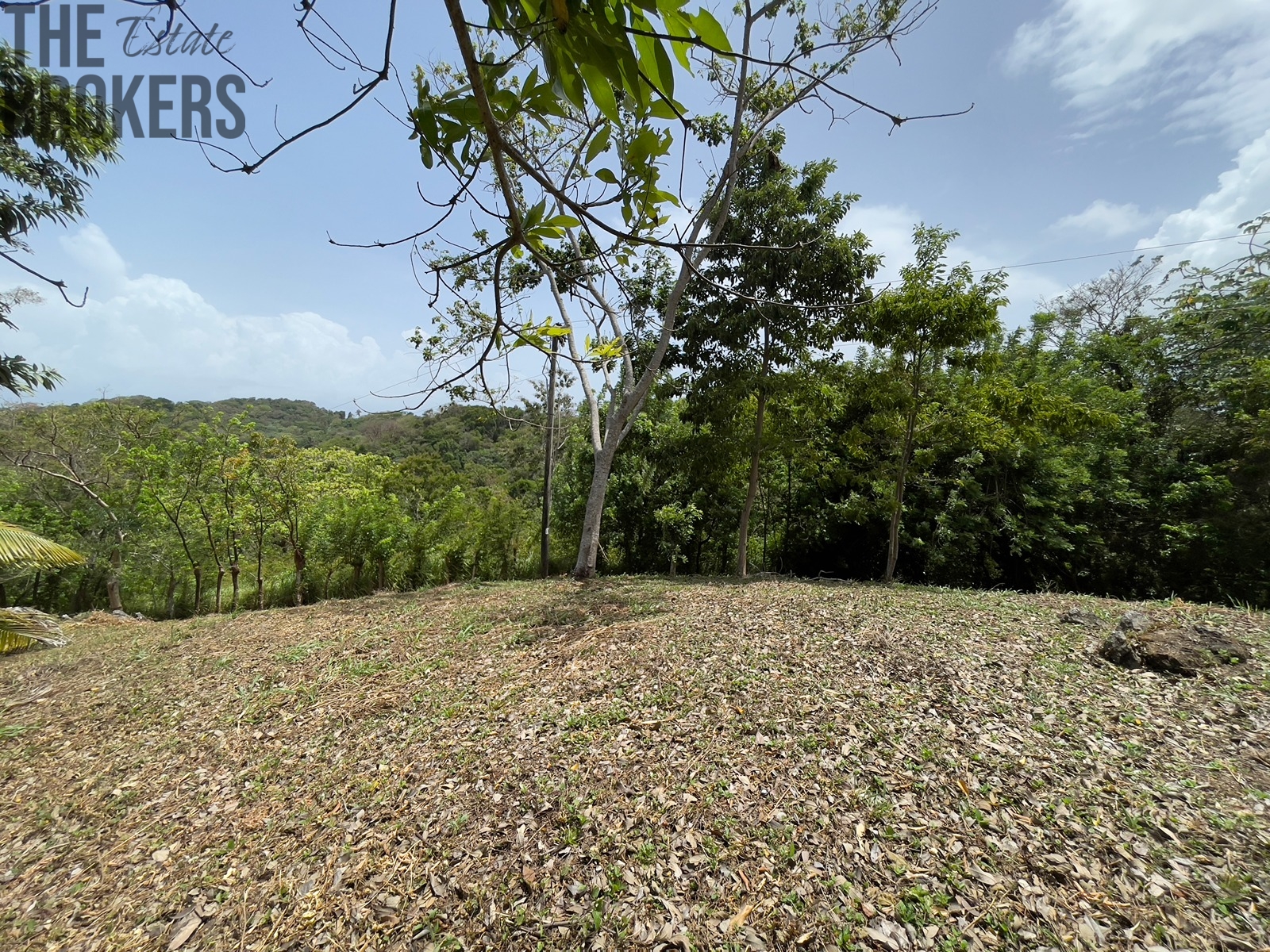 Lot 1 Bodden Bight Estate, Roatan