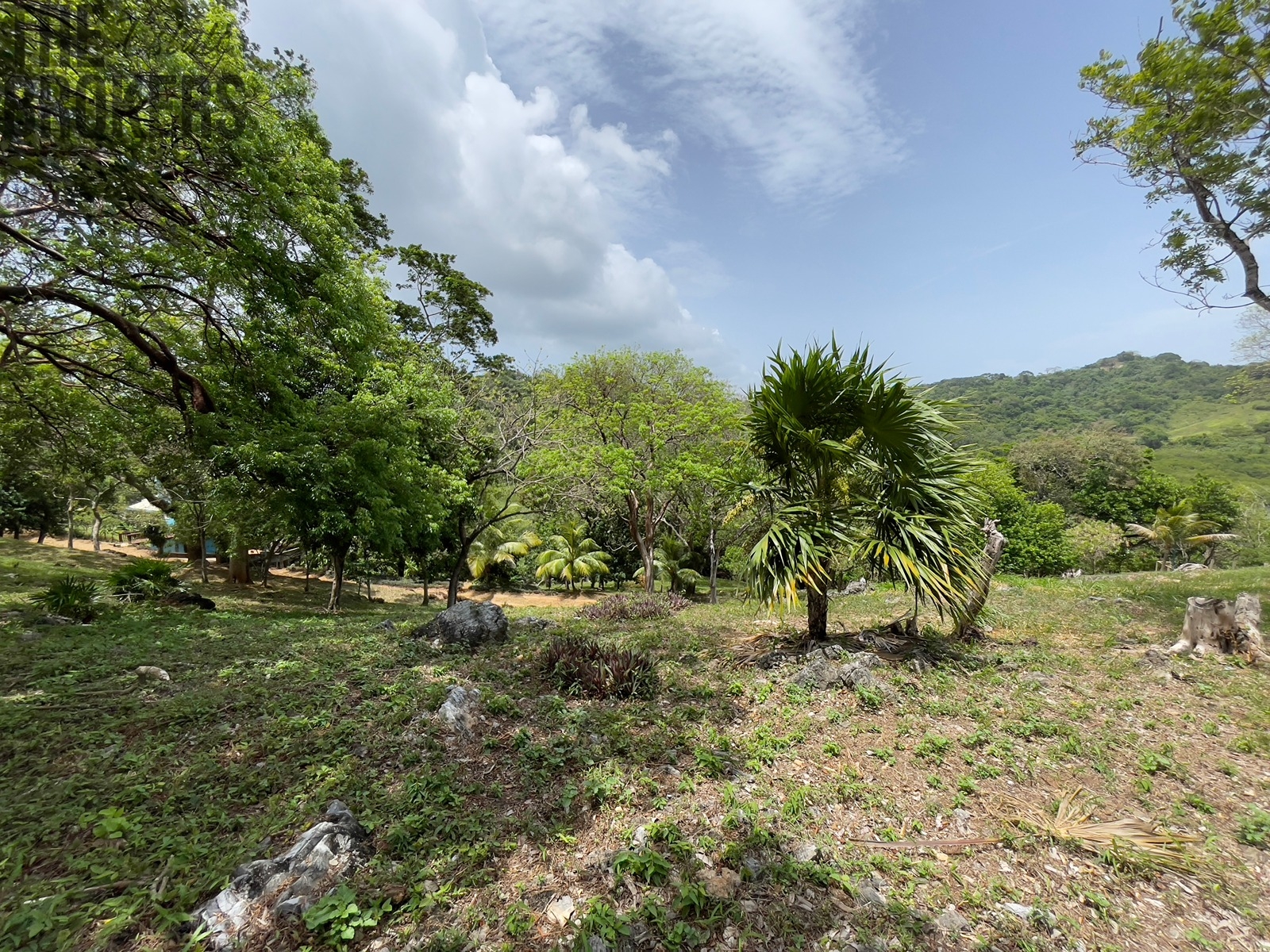 LOT 6 Bodden Bight Estate, Roatan