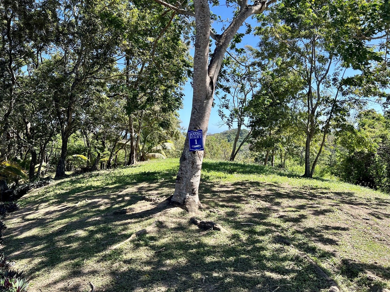 Lot 1 Bodden Bight Estate, Roatan