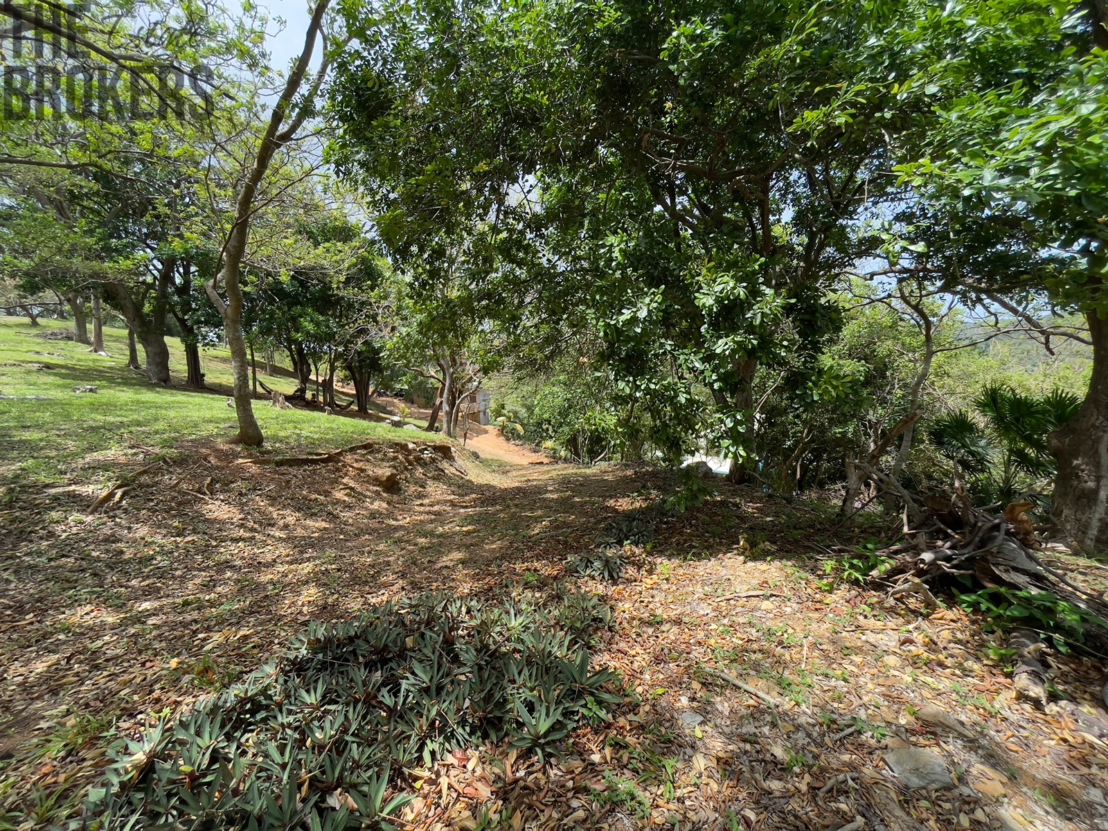 LOT 5 Bodden Bight Estate, Roatan