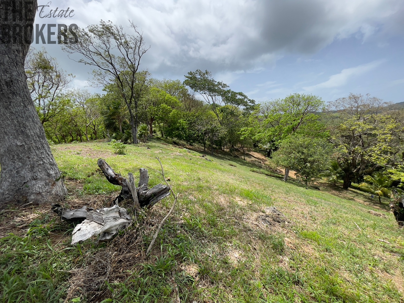 LOT 6 Bodden Bight Estate, Roatan