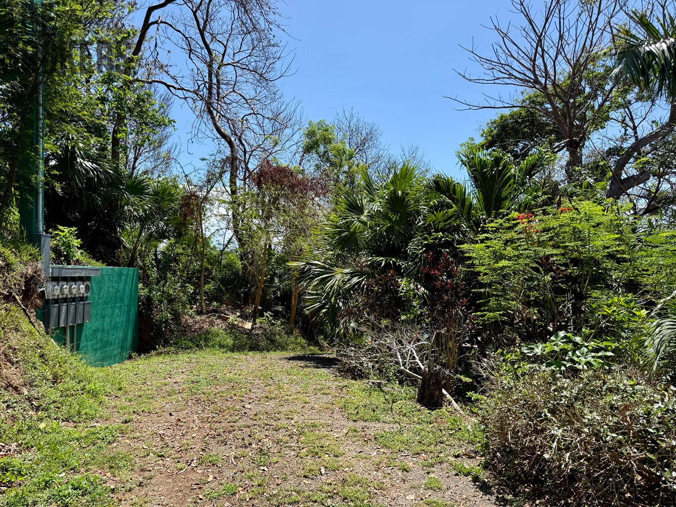 Atocha Lot 1&2 First Bight, Roatan