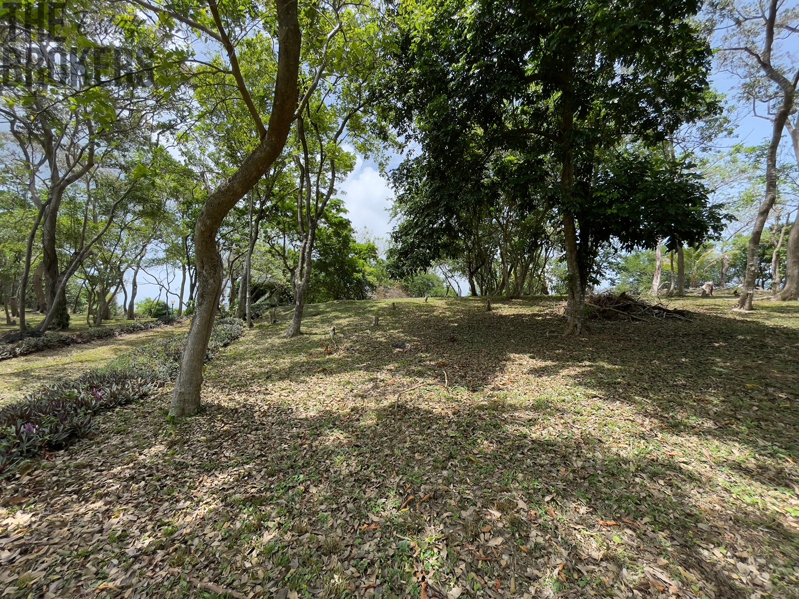 Bodden Bight Estate Jonesville