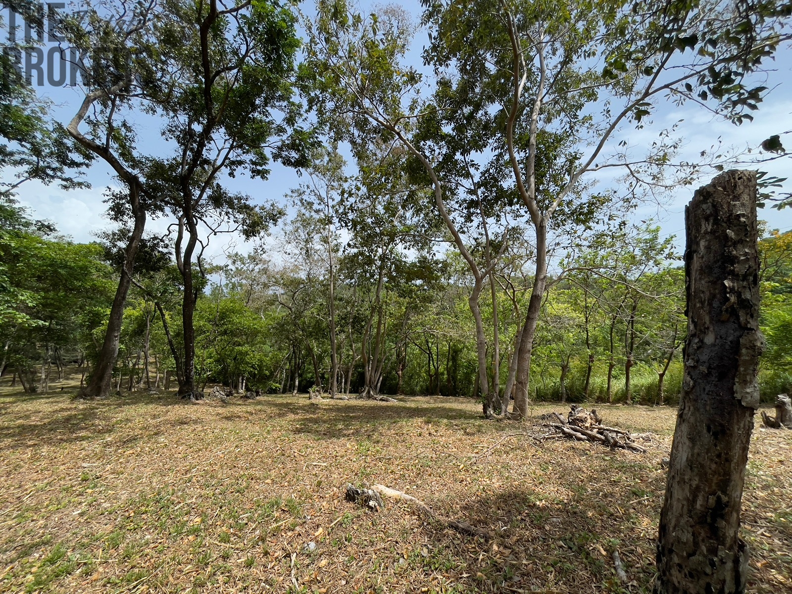 Lot 1 Bodden Bight Estate, Roatan