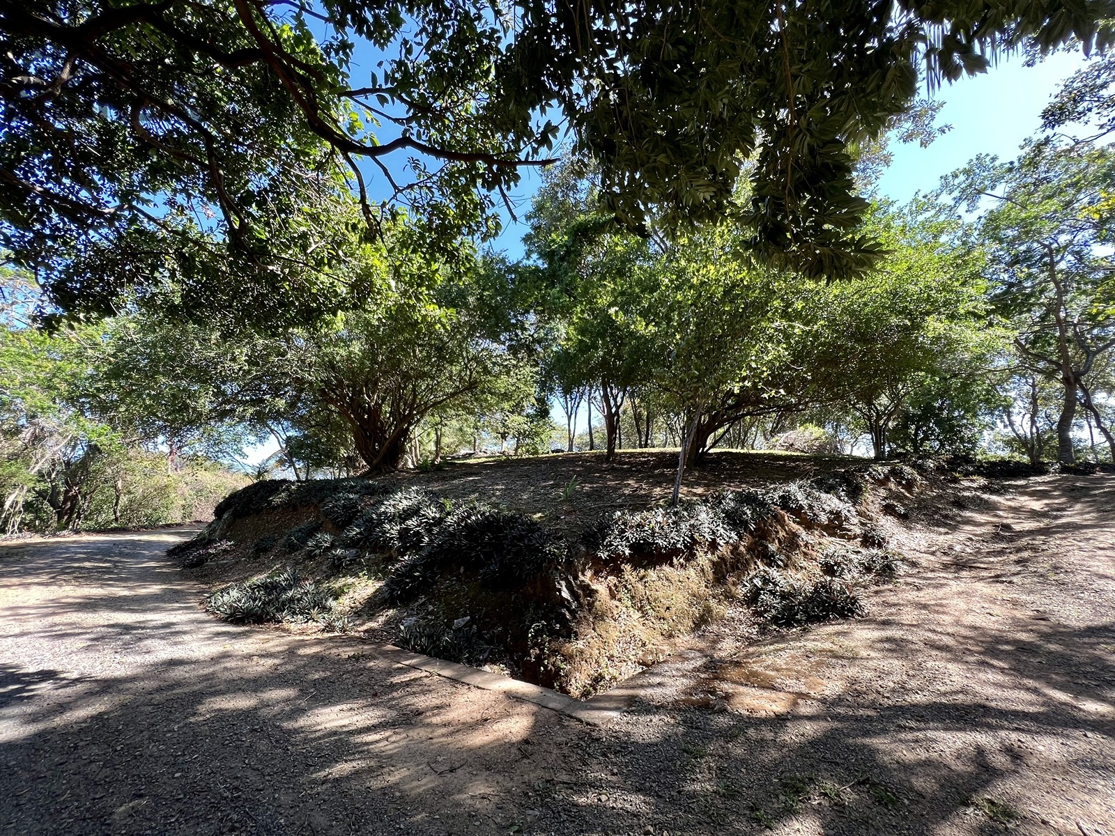 Bodden Bight Estate Jonesville