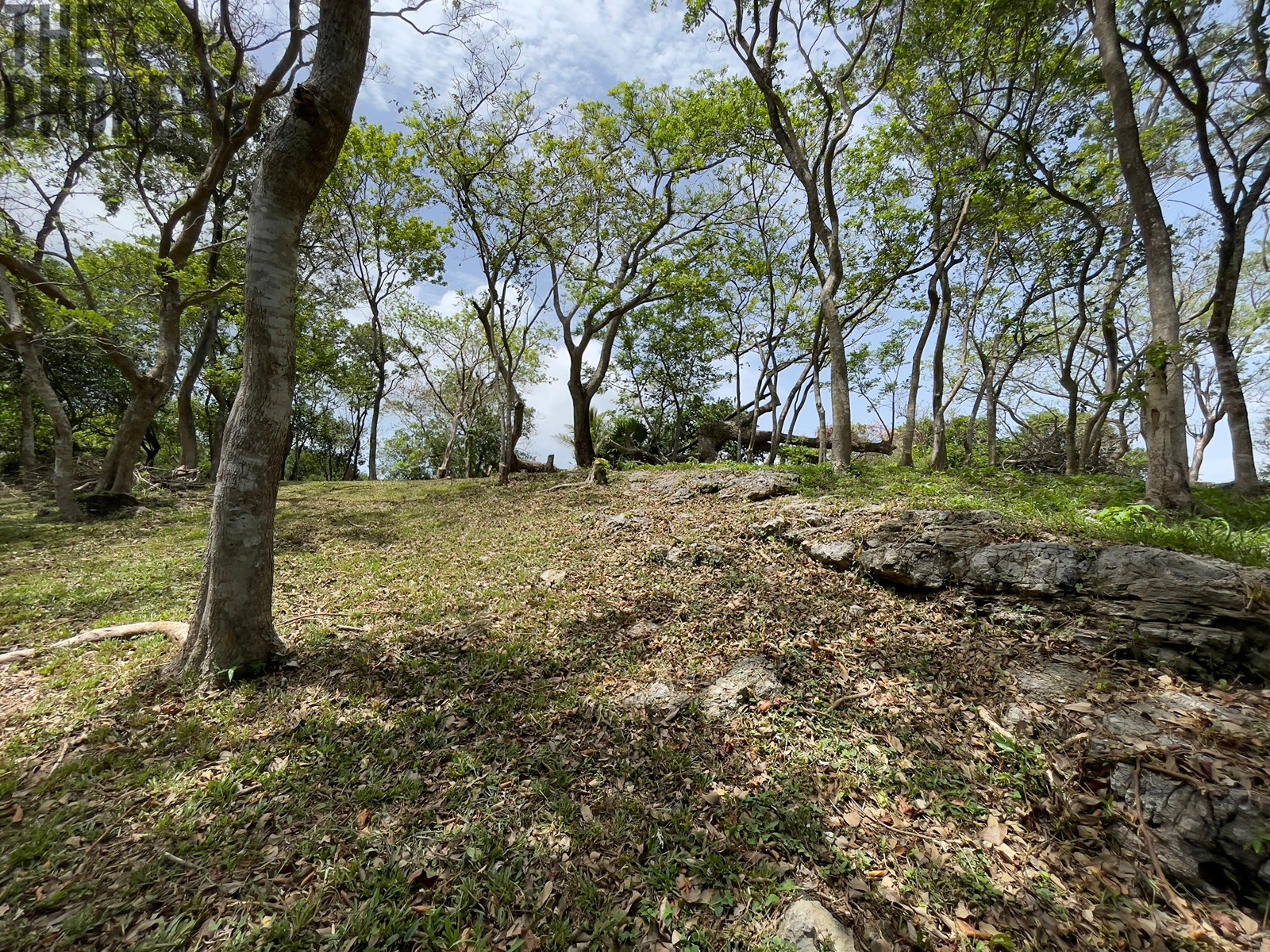 Bodden Bight Estate Jonesville