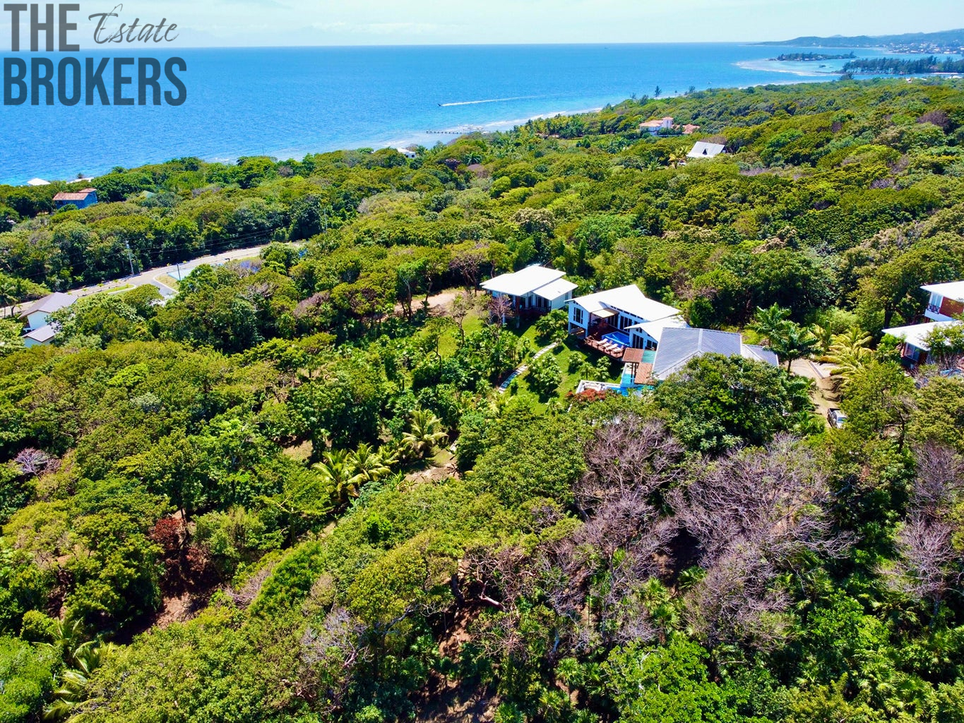 Atocha Lot 1&2 First Bight, Roatan