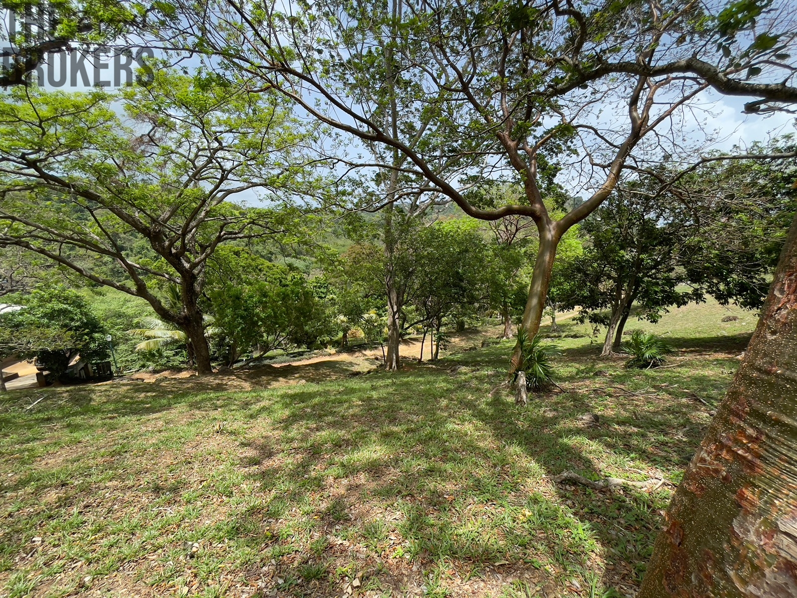 LOT 5 Bodden Bight Estate, Roatan
