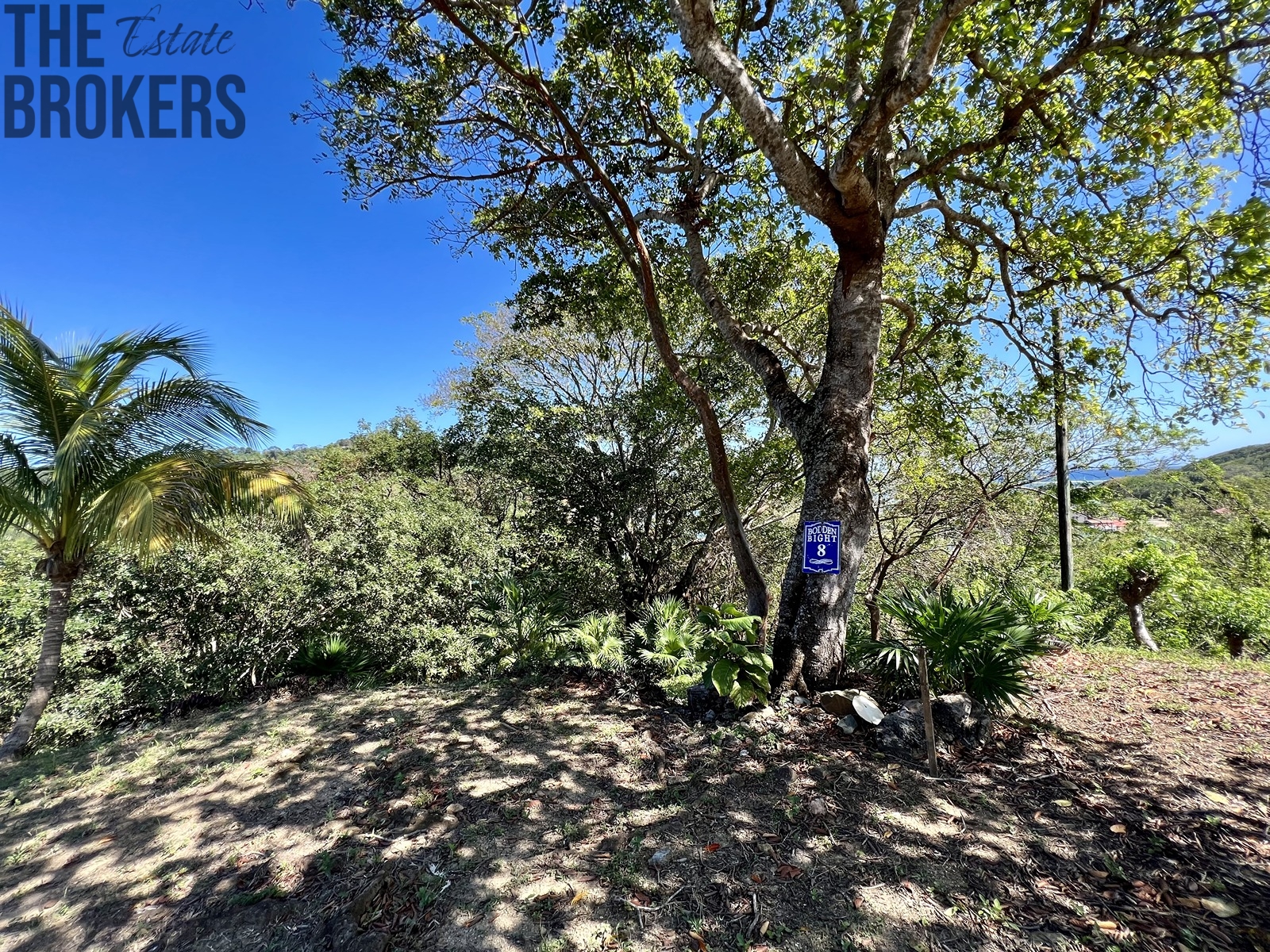 LOT 8 Bodden Bight Estate, Roatan