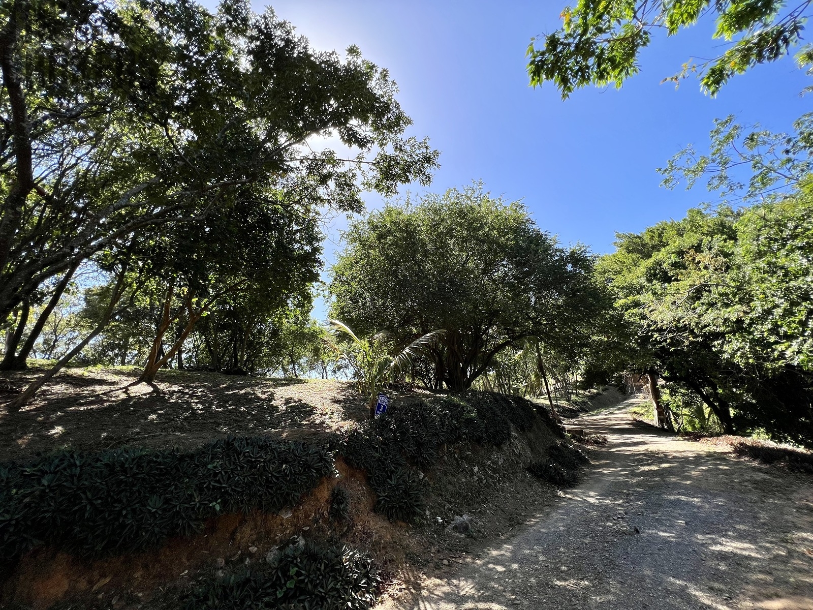 Bodden Bight Estate Jonesville