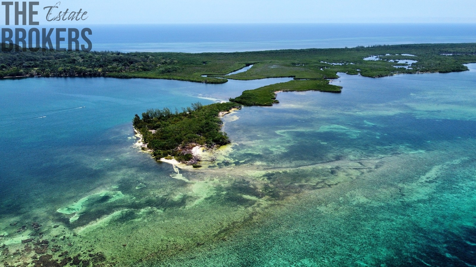 Bailey's Caye