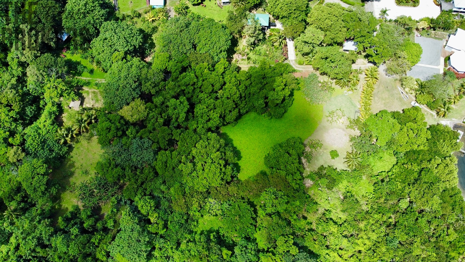 Punta Blanca, Roatan