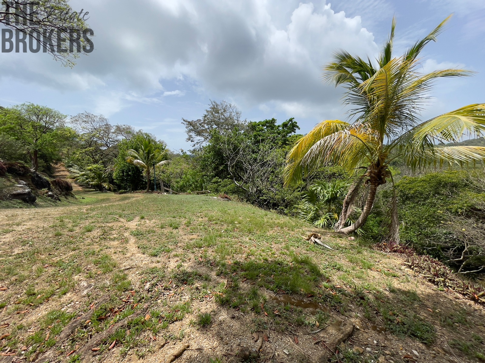 LOT 8 Bodden Bight Estate, Roatan