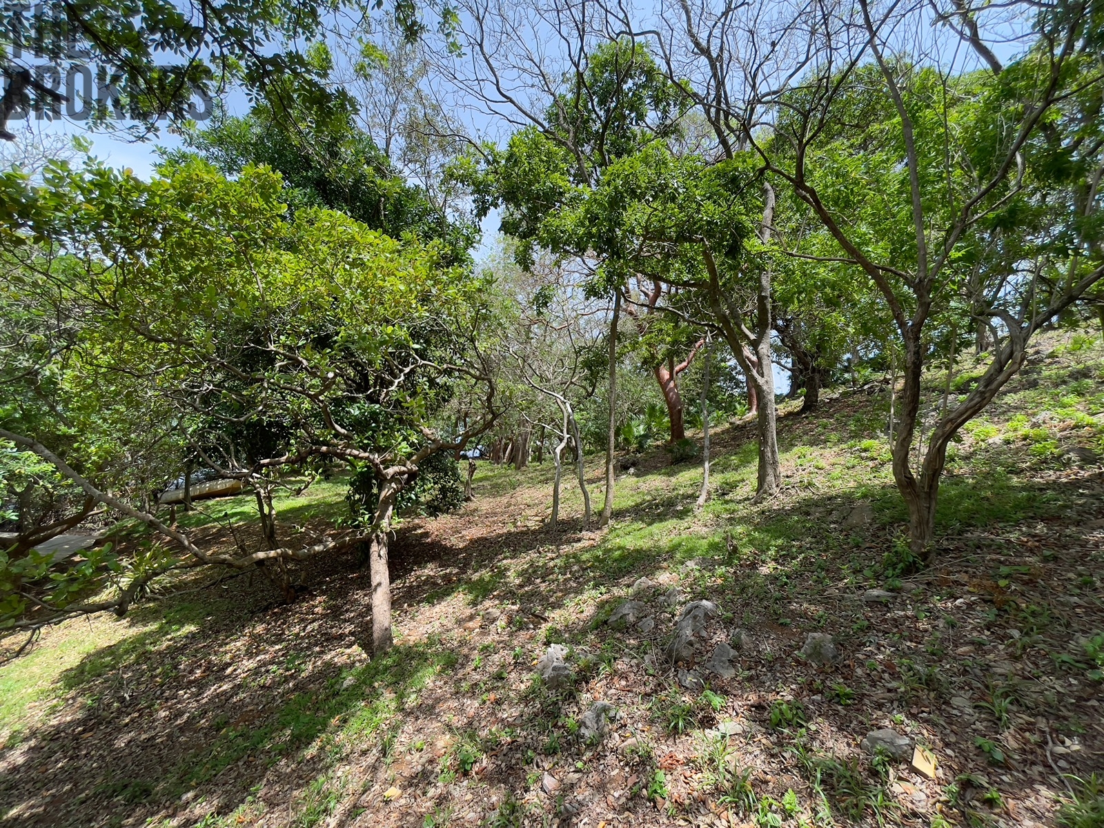 LOT 8 Bodden Bight Estate, Roatan