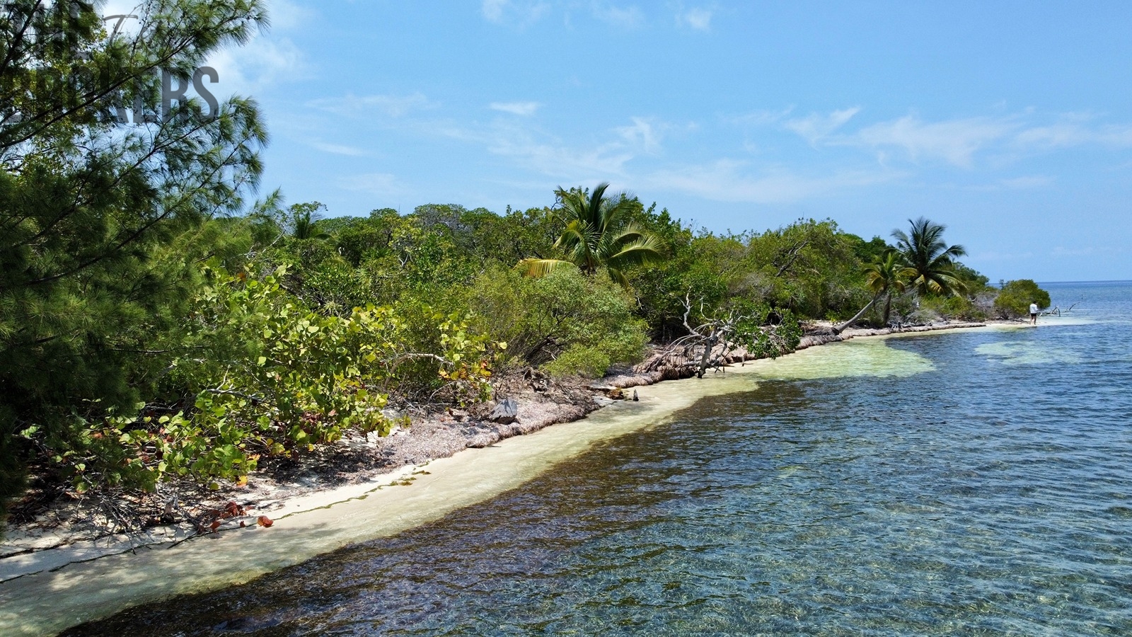 Bailey's Caye