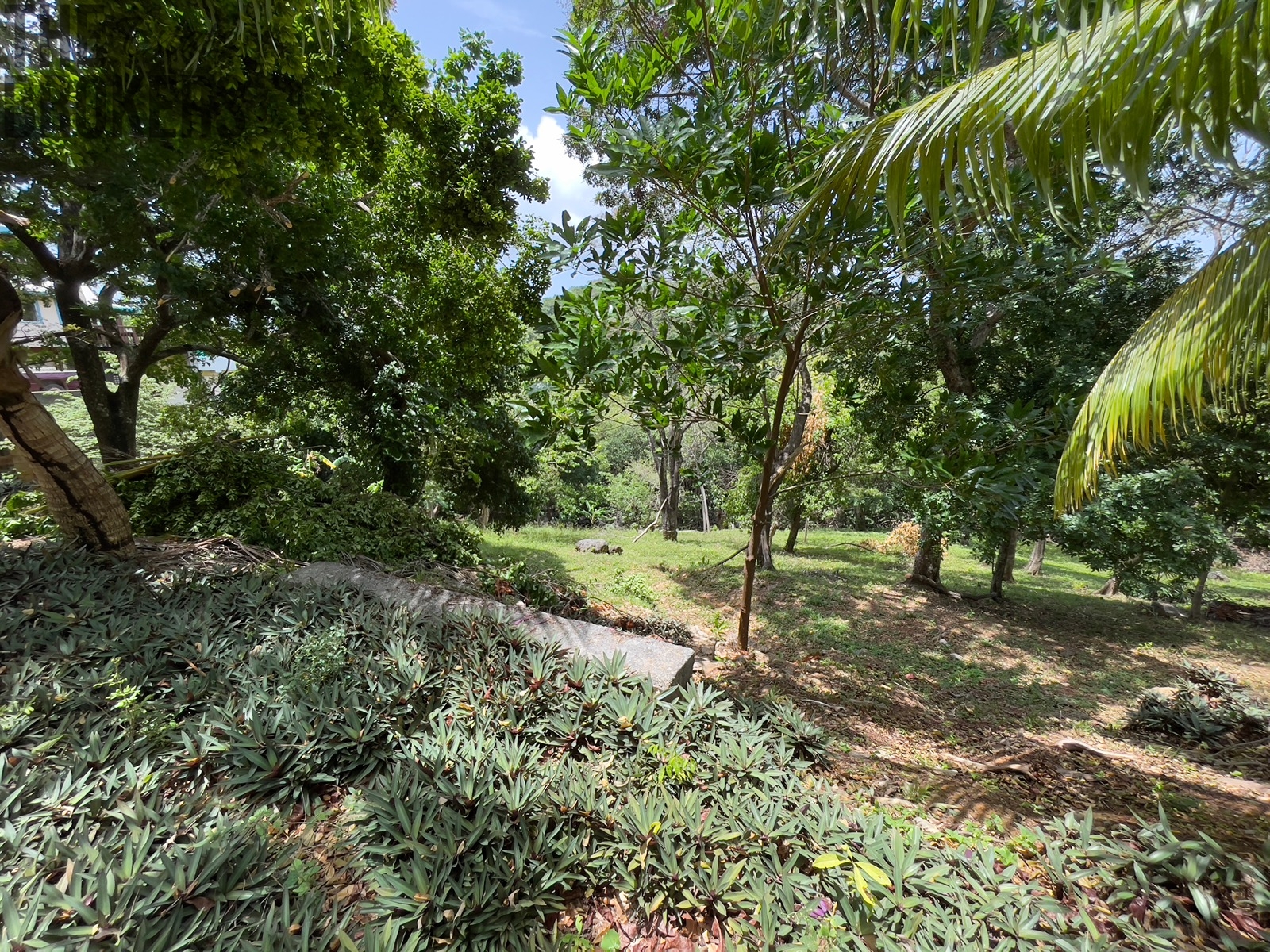 LOT 10 Bodden Bight Estate, Roatan