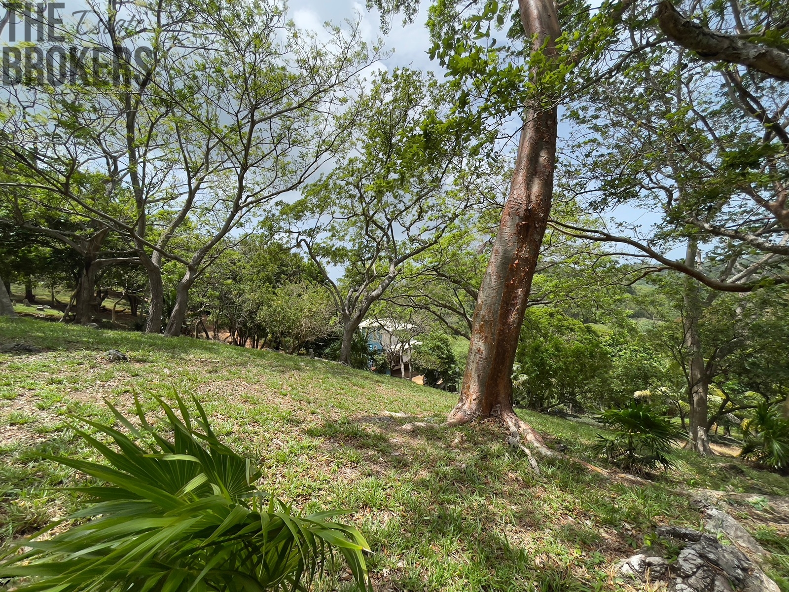 LOT 5 Bodden Bight Estate, Roatan