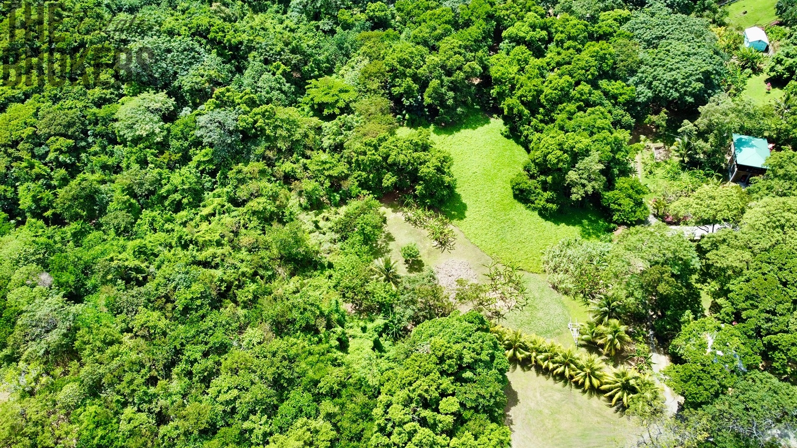 Punta Blanca, Roatan