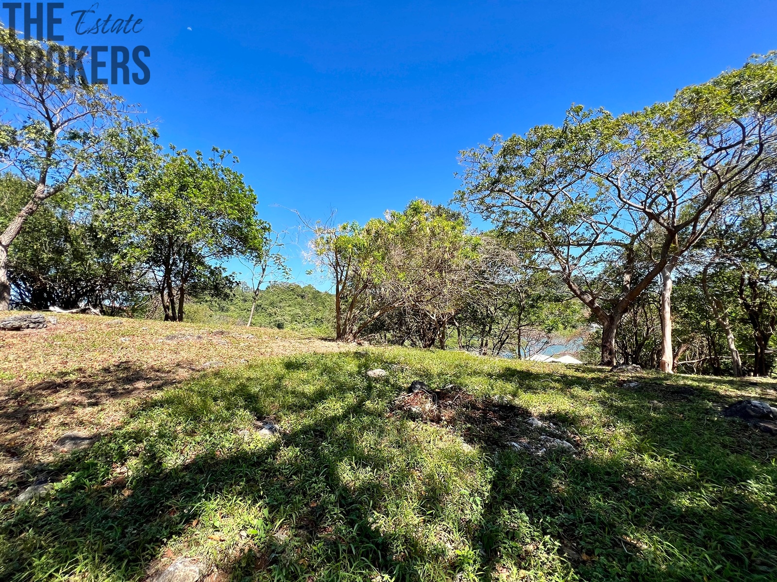 Bodden Bight Estate Jonesville