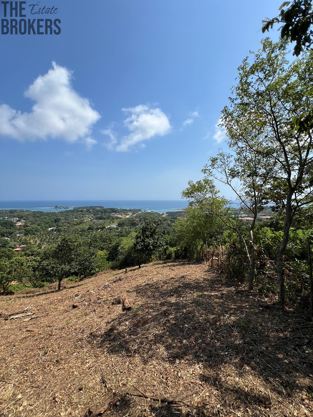 Lot#31  Coral View Village, Roatan