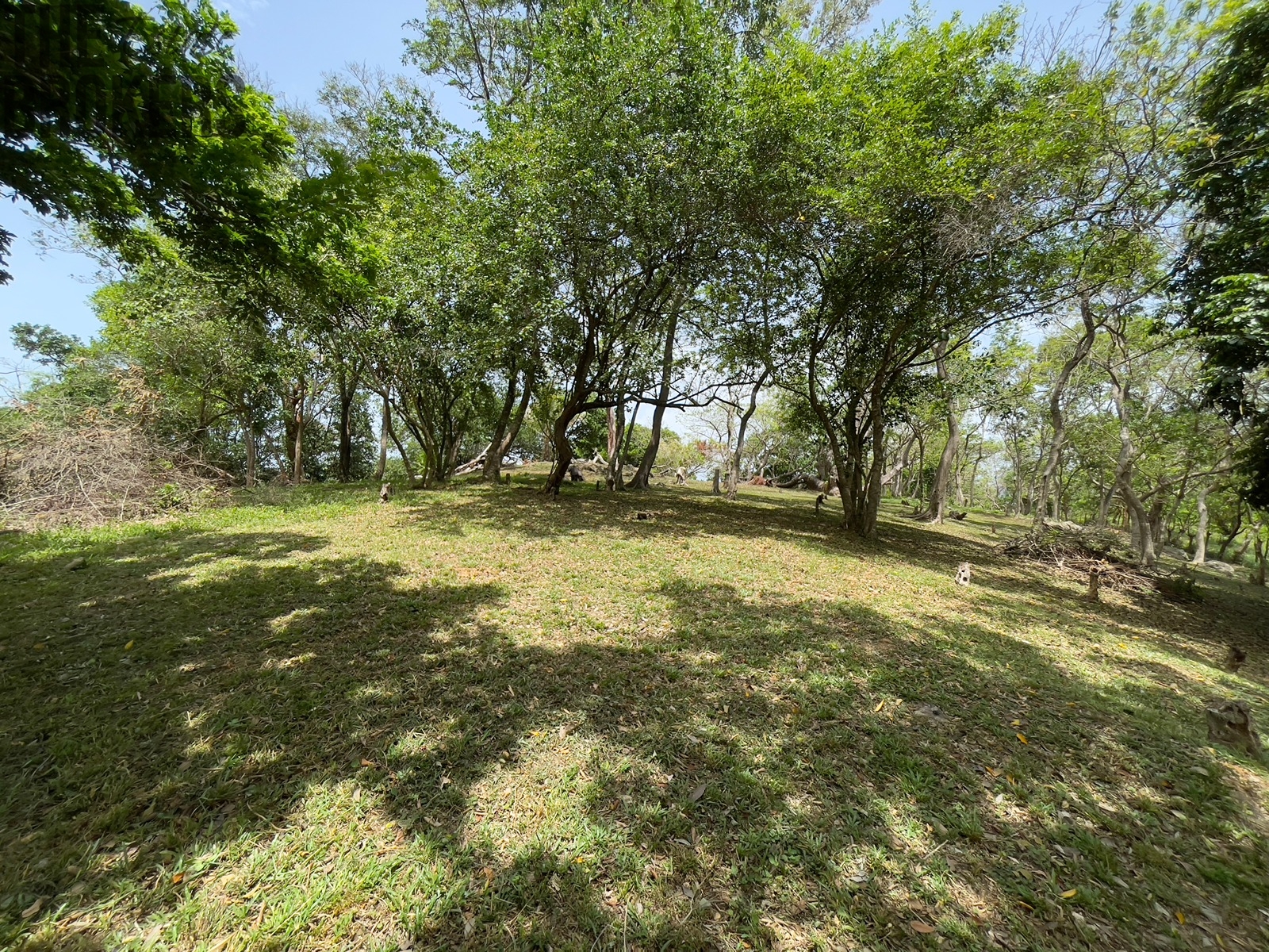 Bodden Bight Estate Jonesville