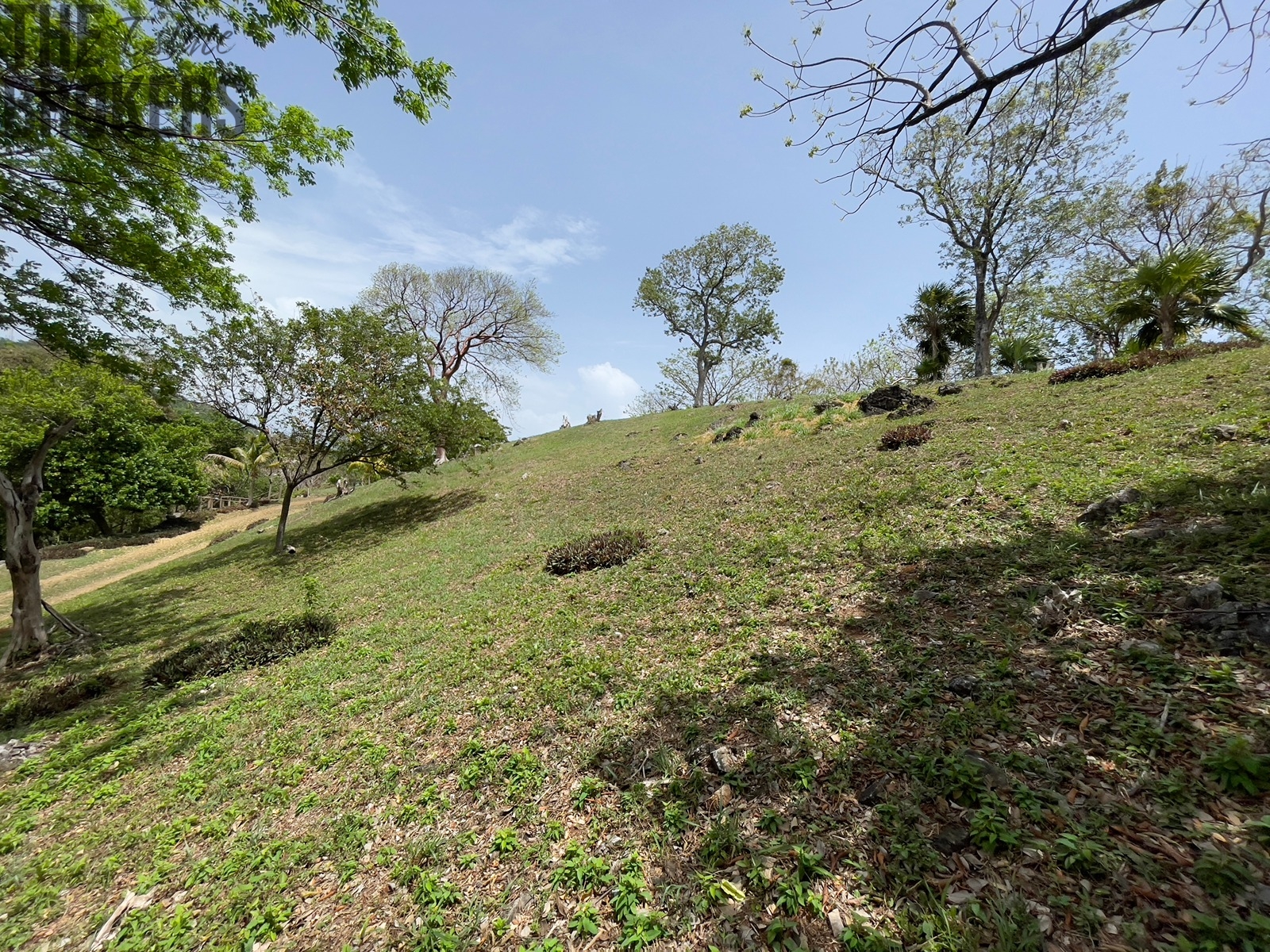 LOT 6 Bodden Bight Estate, Roatan
