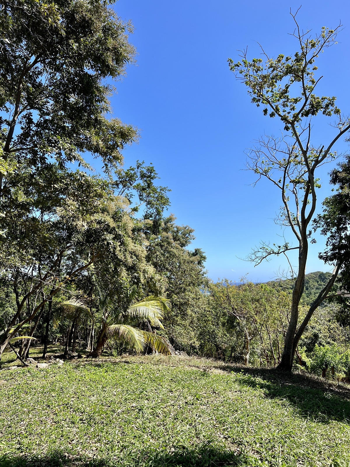 Lot 1 Bodden Bight Estate, Roatan