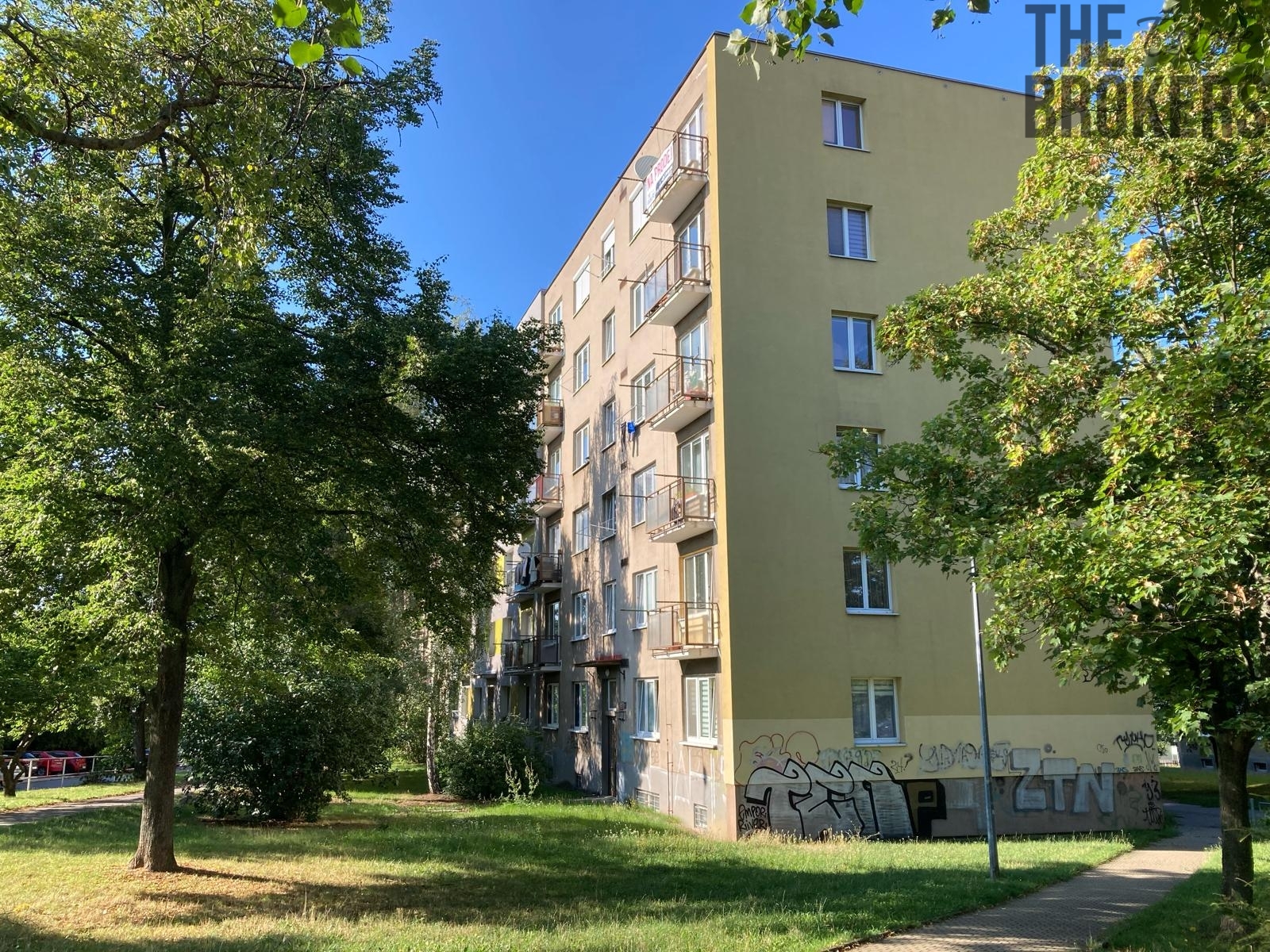 Vizualizace