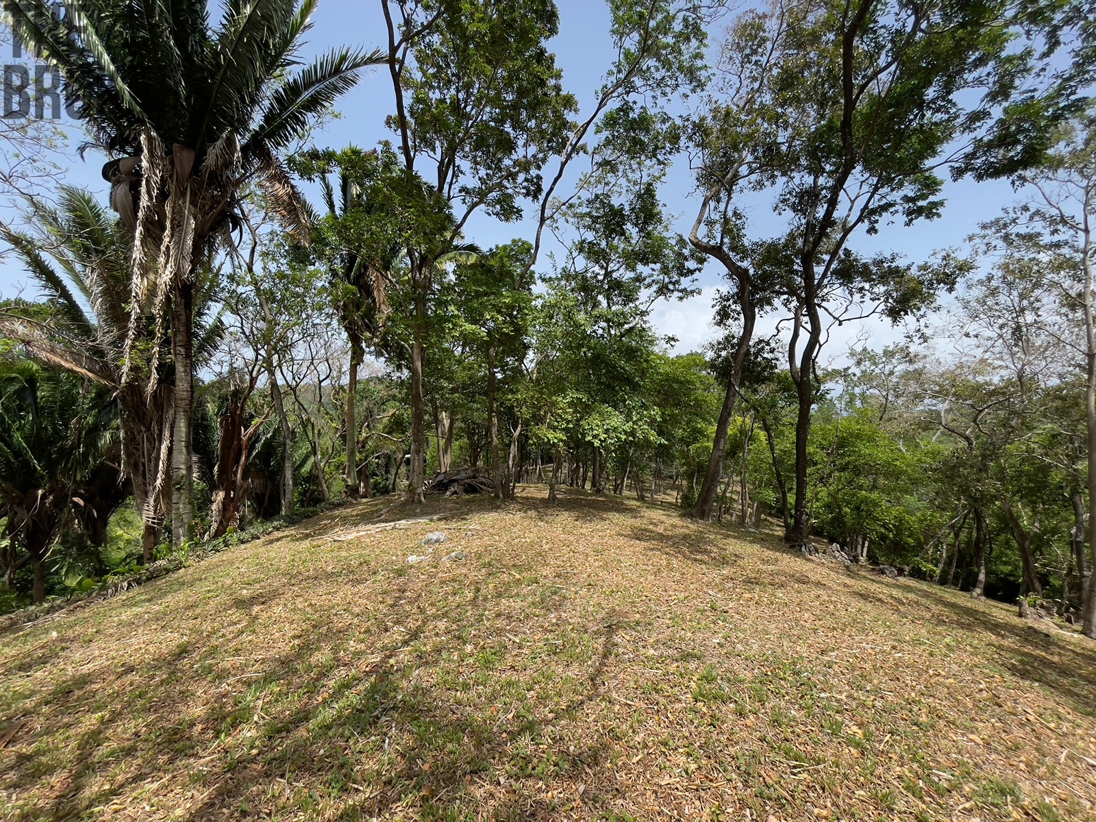 Lot 1 Bodden Bight Estate, Roatan