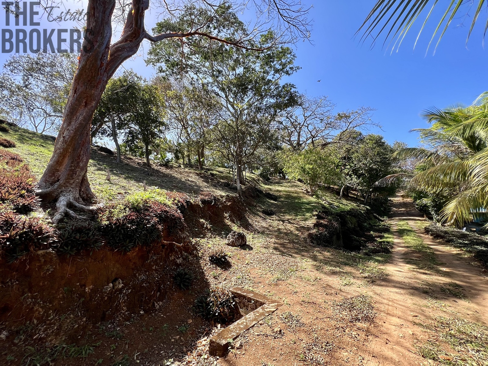 LOT 6 Bodden Bight Estate, Roatan