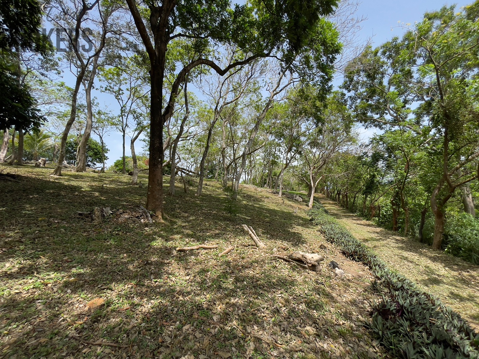 Bodden Bight Estate Jonesville
