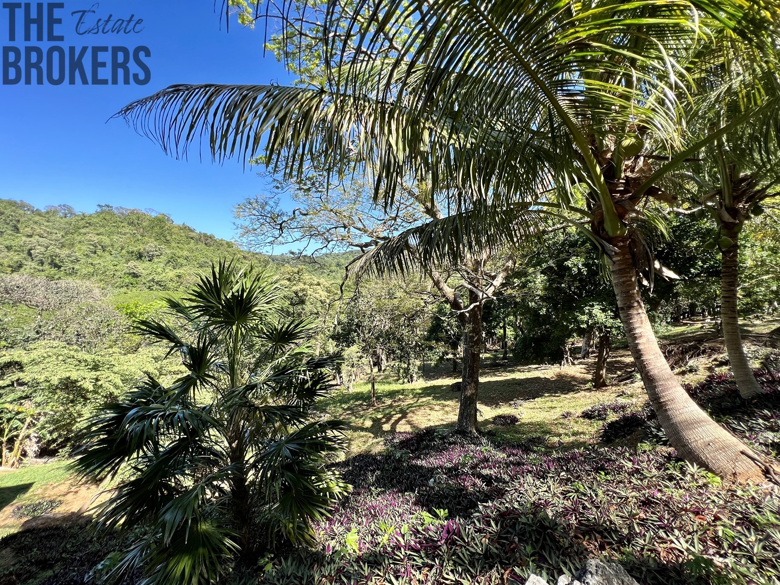 LOT 10 Bodden Bight Estate, Roatan