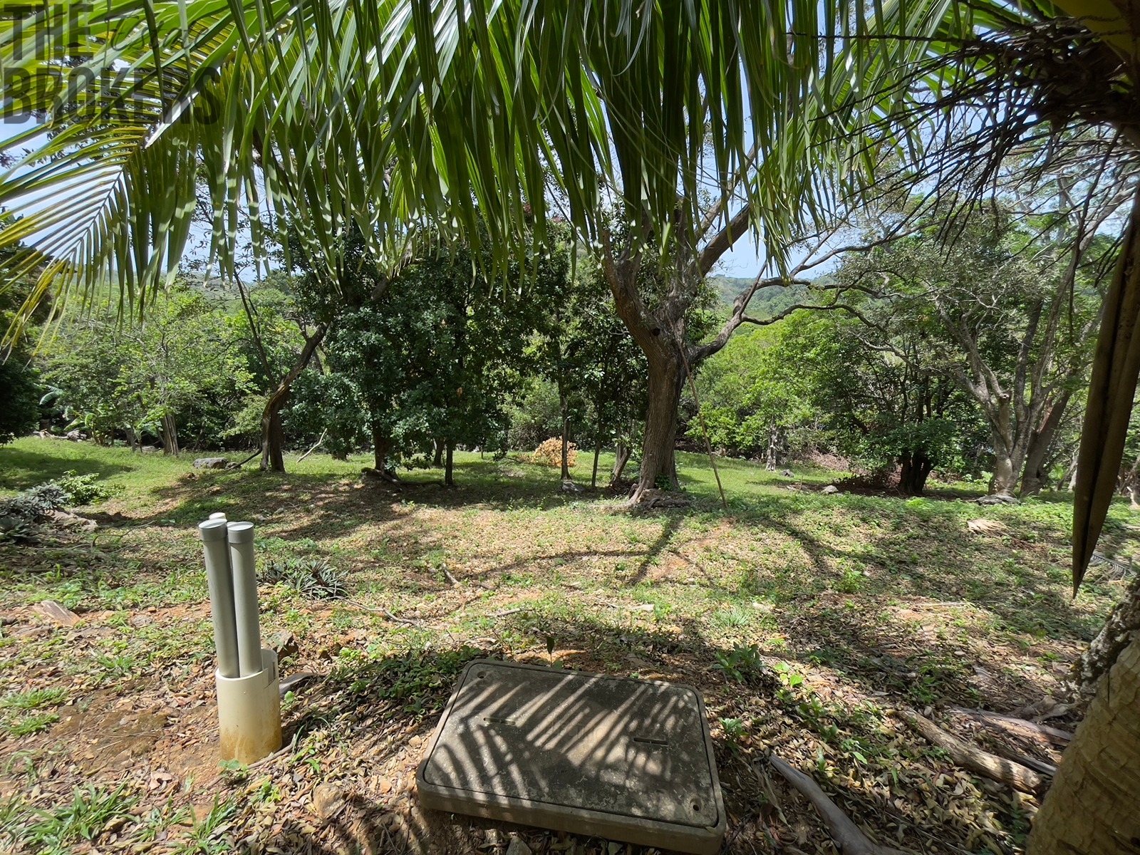 LOT 10 Bodden Bight Estate, Roatan