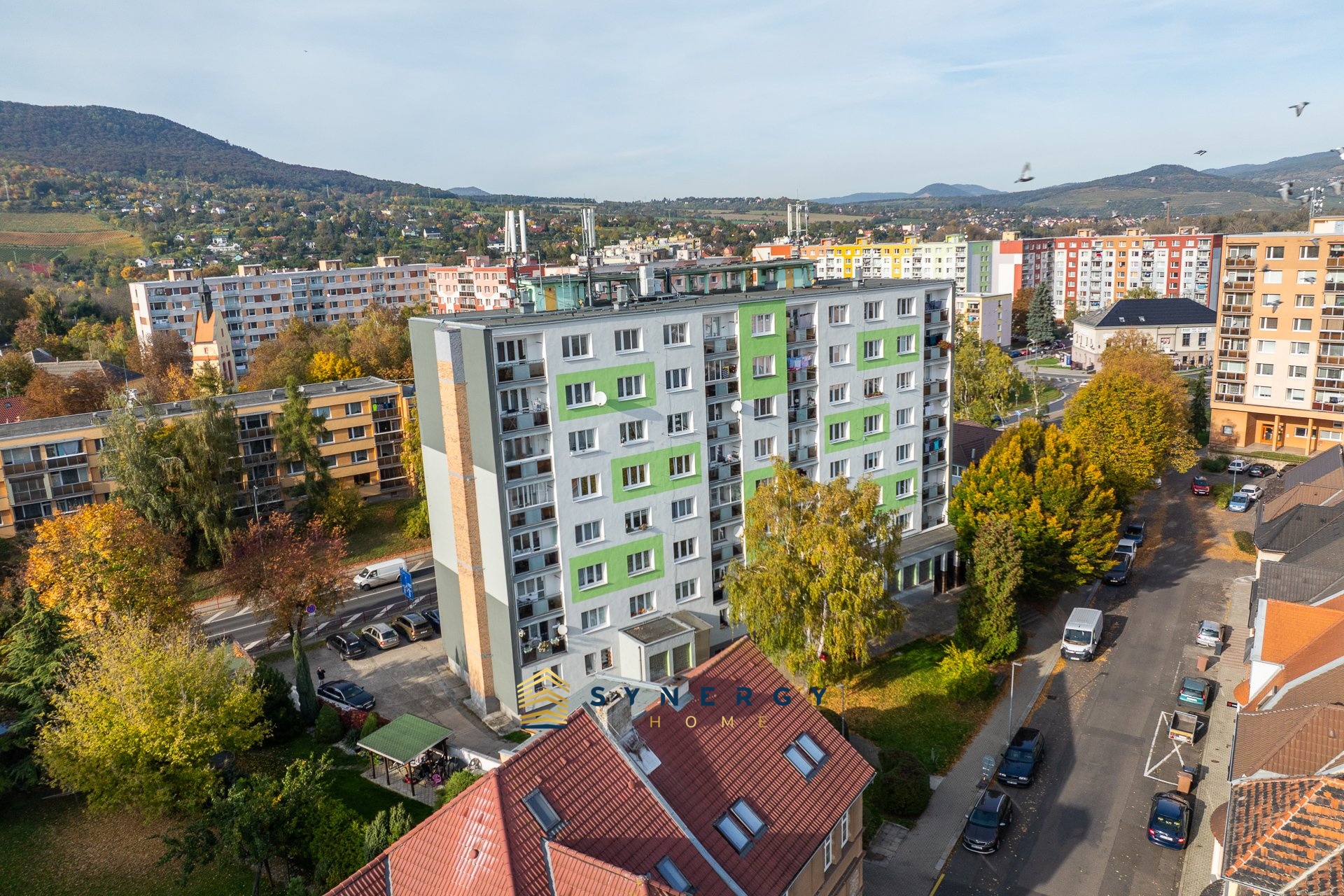 foto2