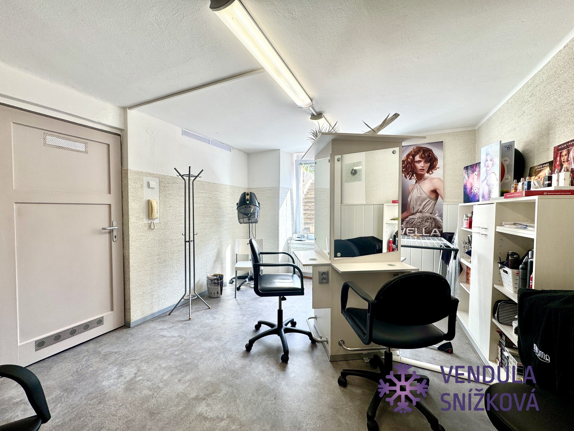 salon