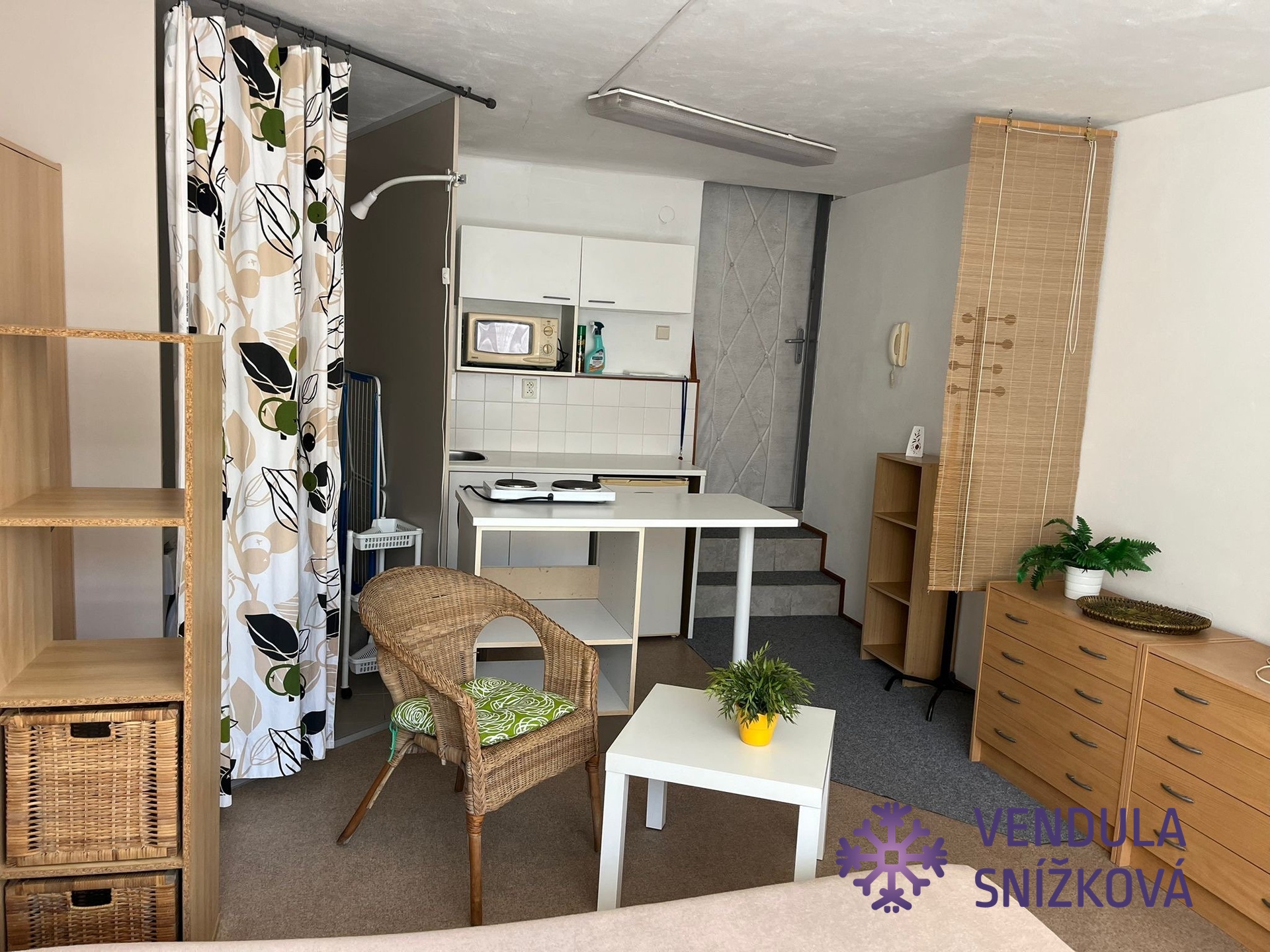 garsonka v přízemí