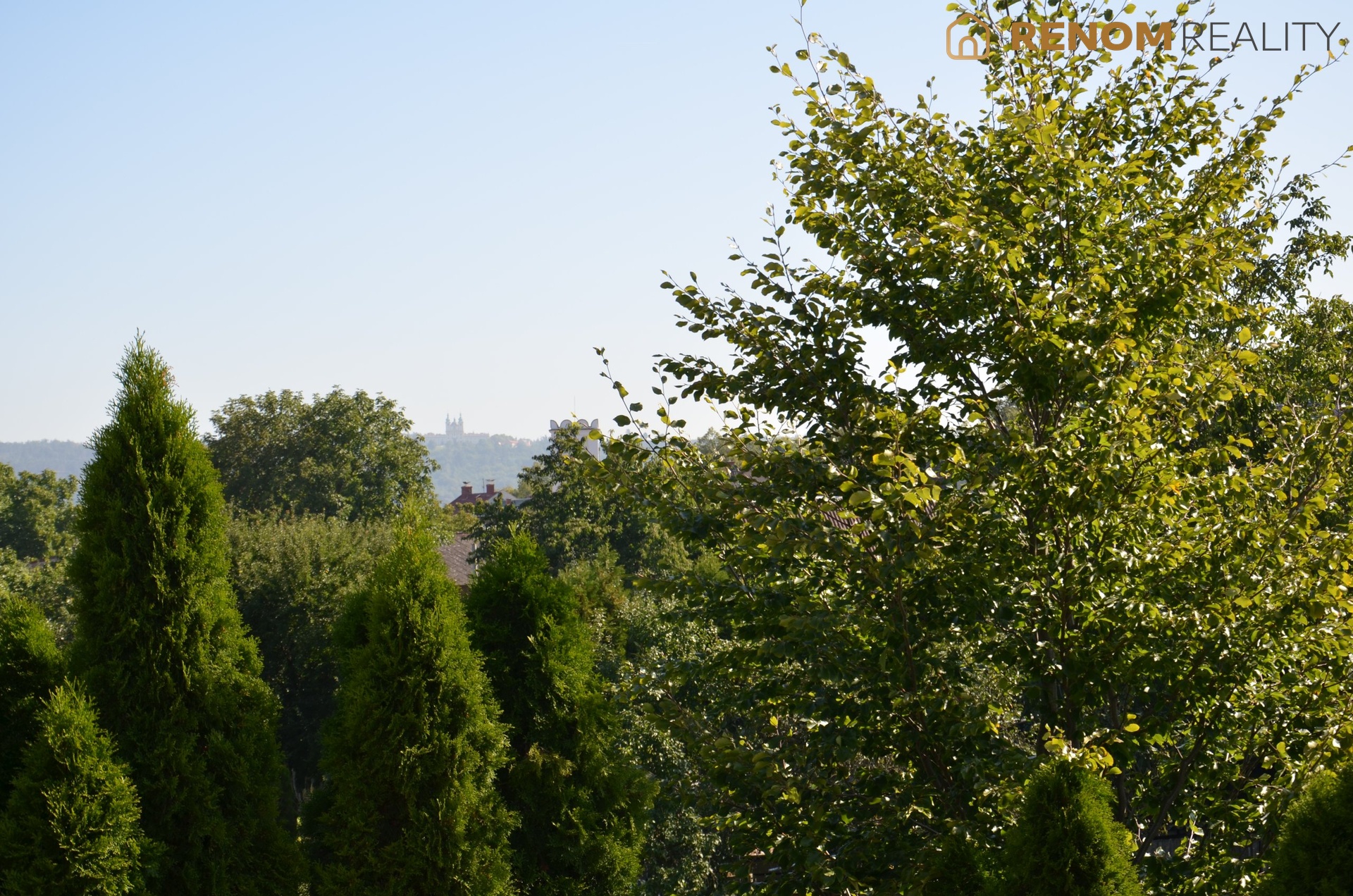 DSC_0663