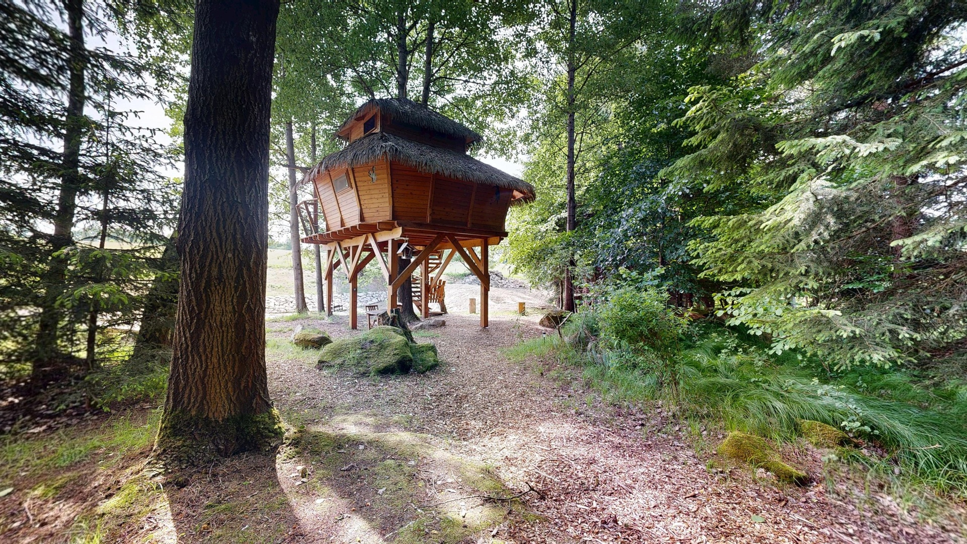 Treehouse-Ceska-Kanada-06082025_212219