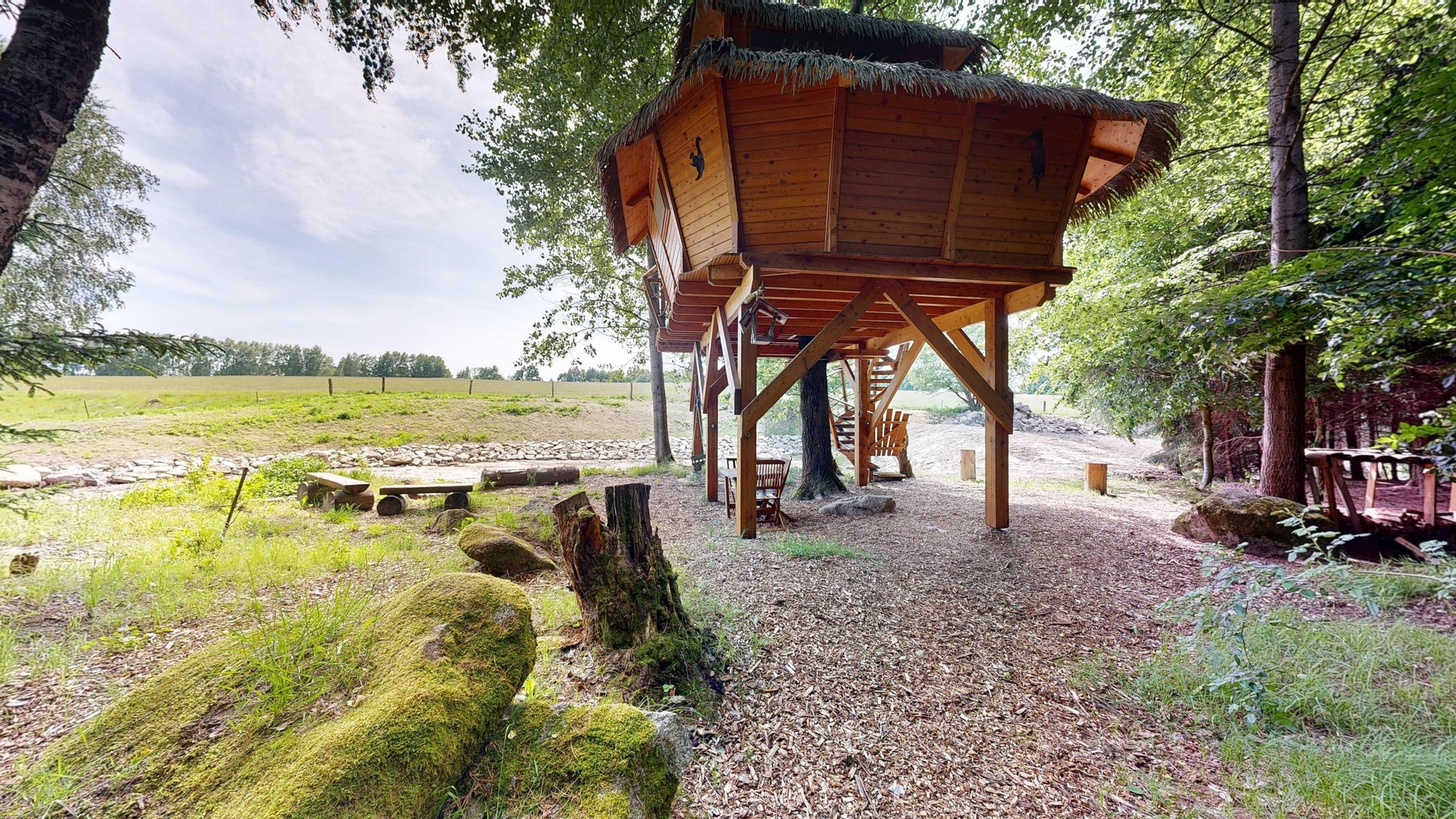 Treehouse-Ceska-Kanada-06082025_212101
