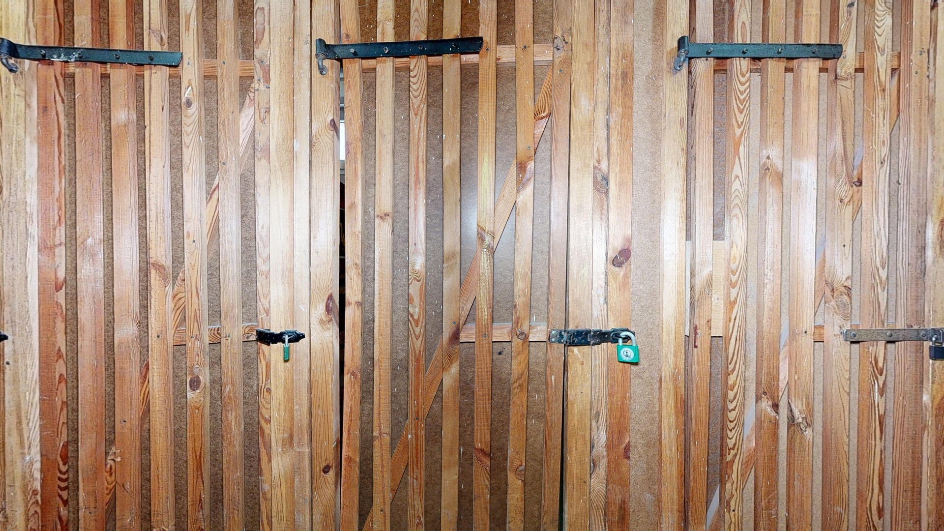 Byt-Lhenicka--02172026_183019