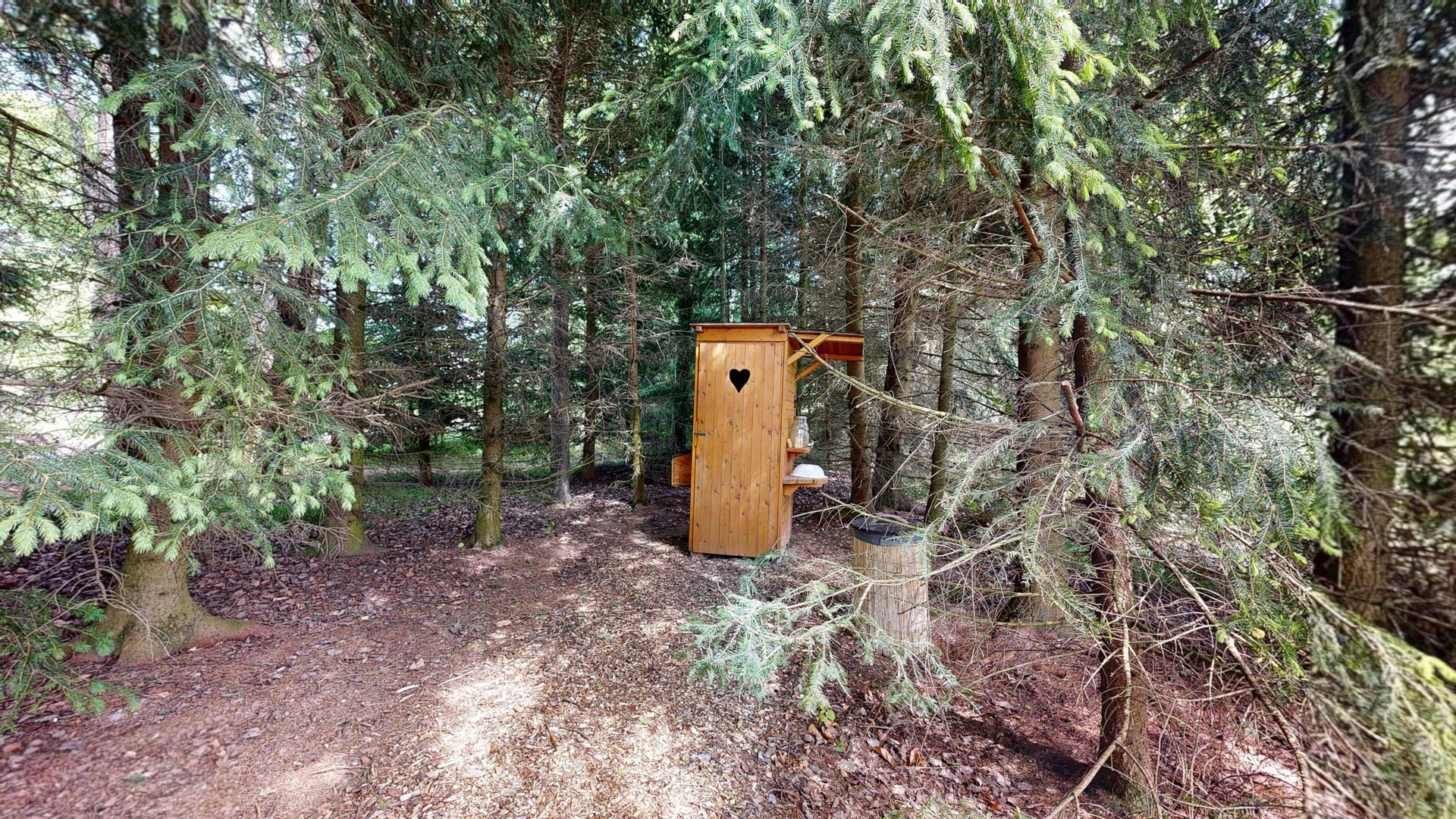 Treehouse-Ceska-Kanada-06082025_212120
