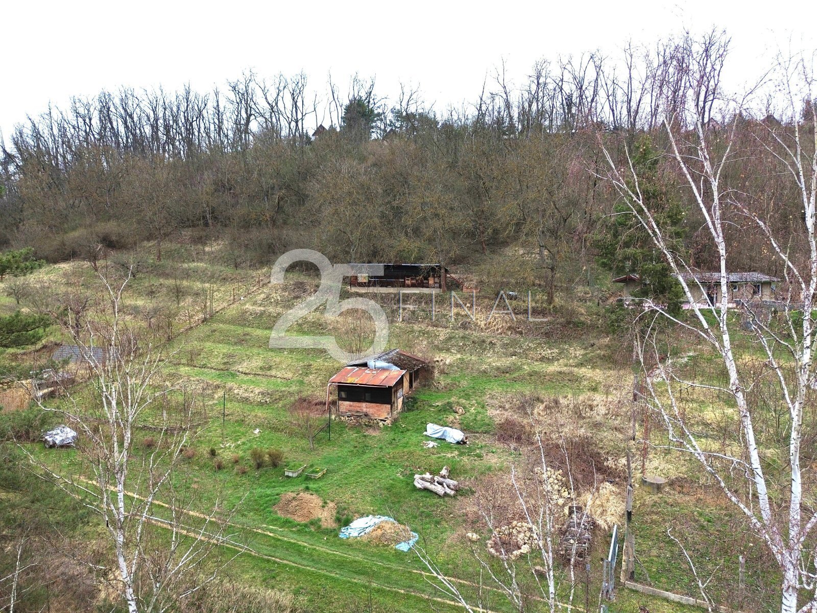 DJI_0009.jpg