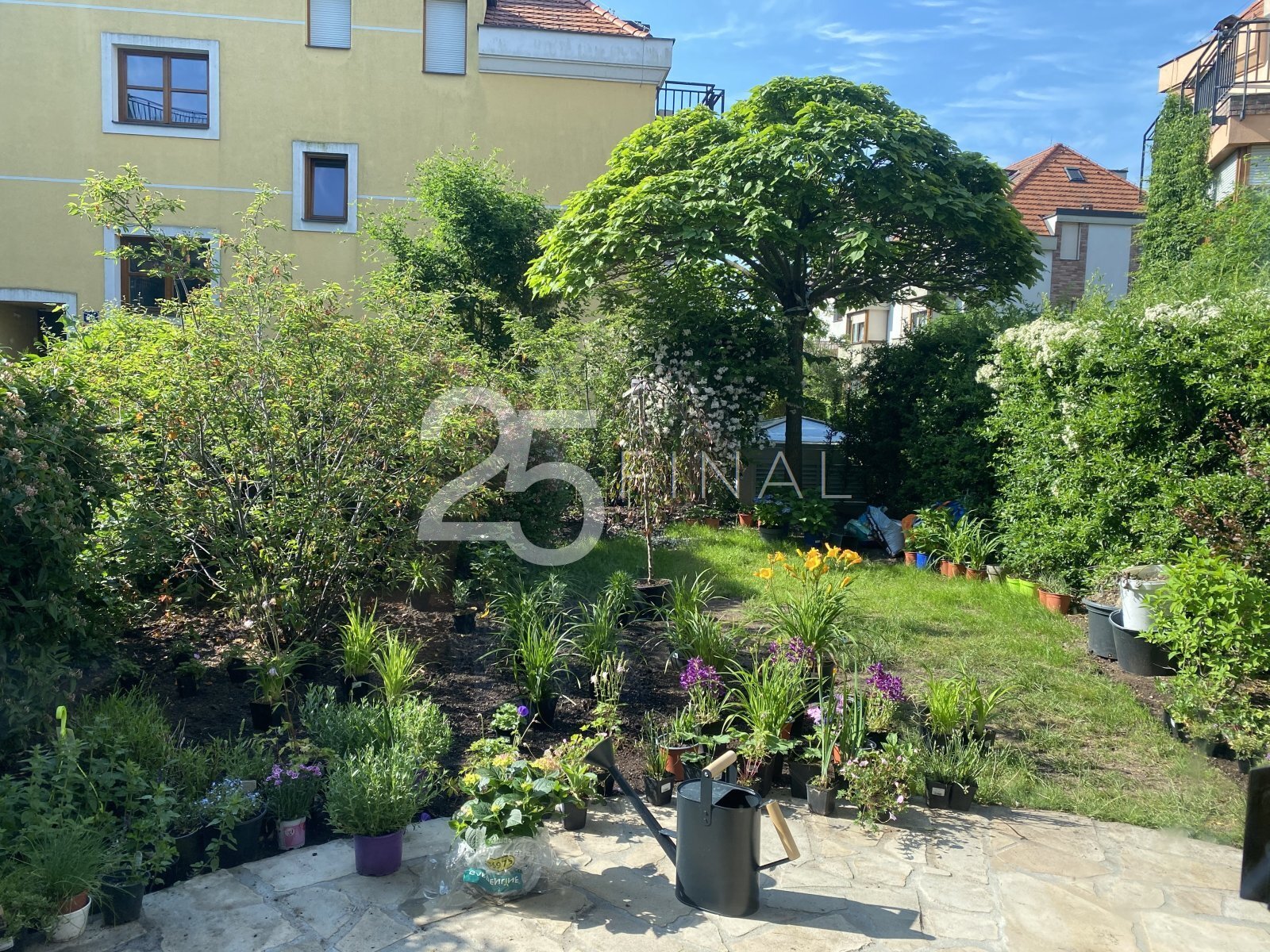 IMG_4866.jpeg