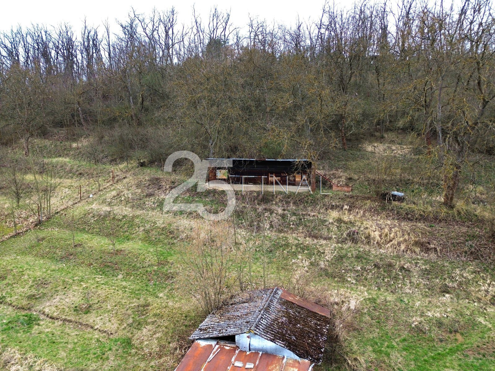 DJI_0006.jpg