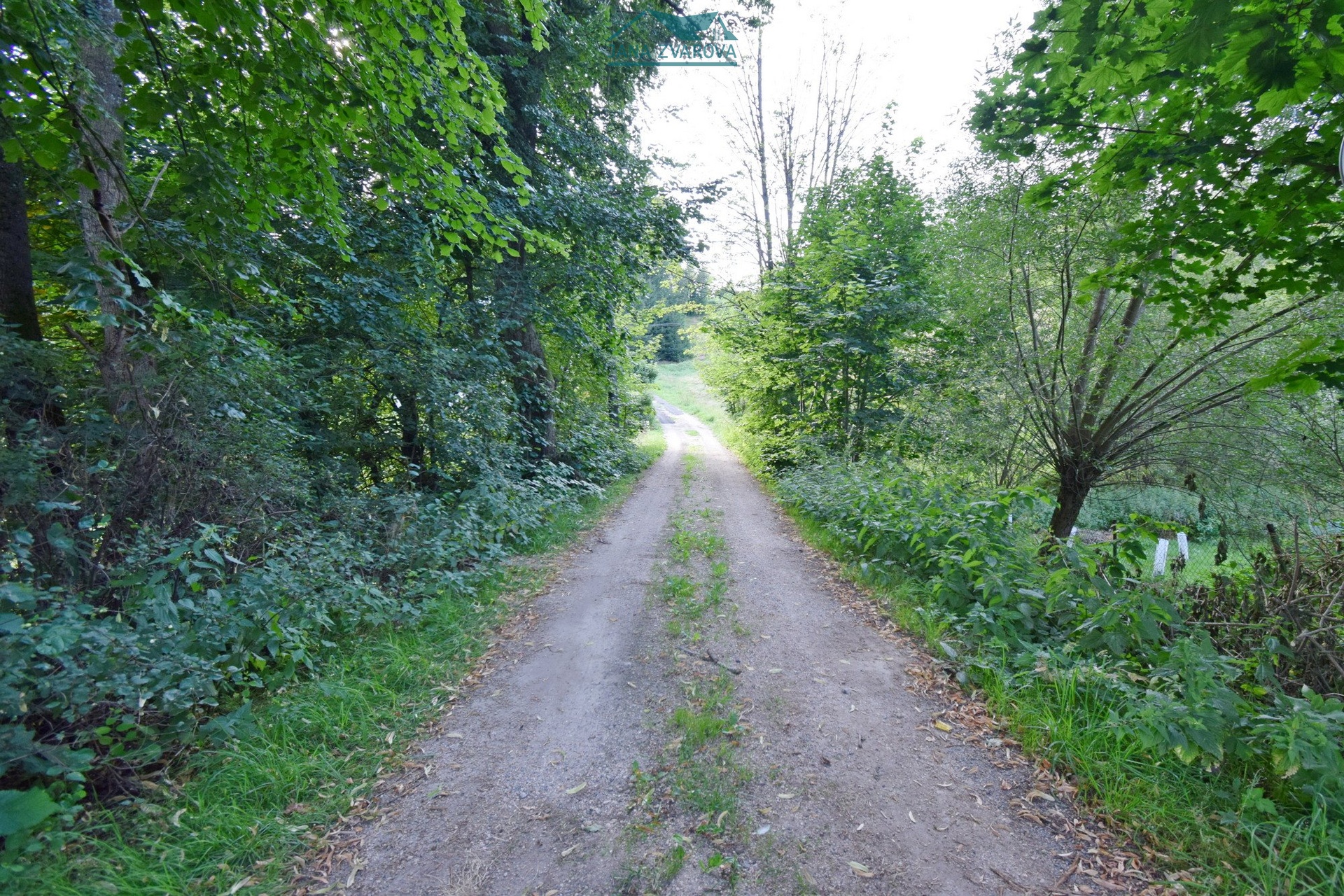 DSC_0038