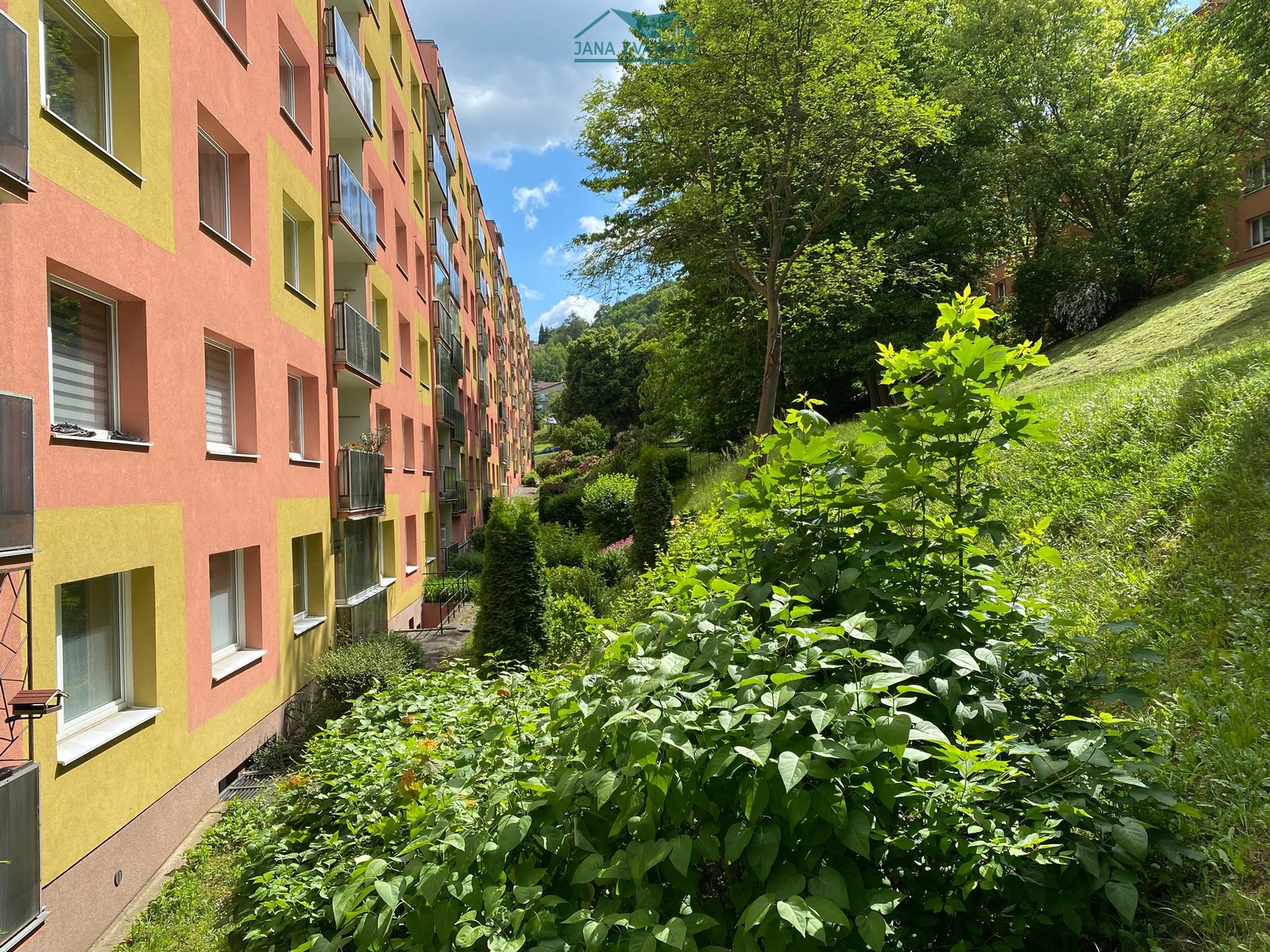 Obrázek WhatsApp, 2025-06-17 v 14.35.21_f03774d0