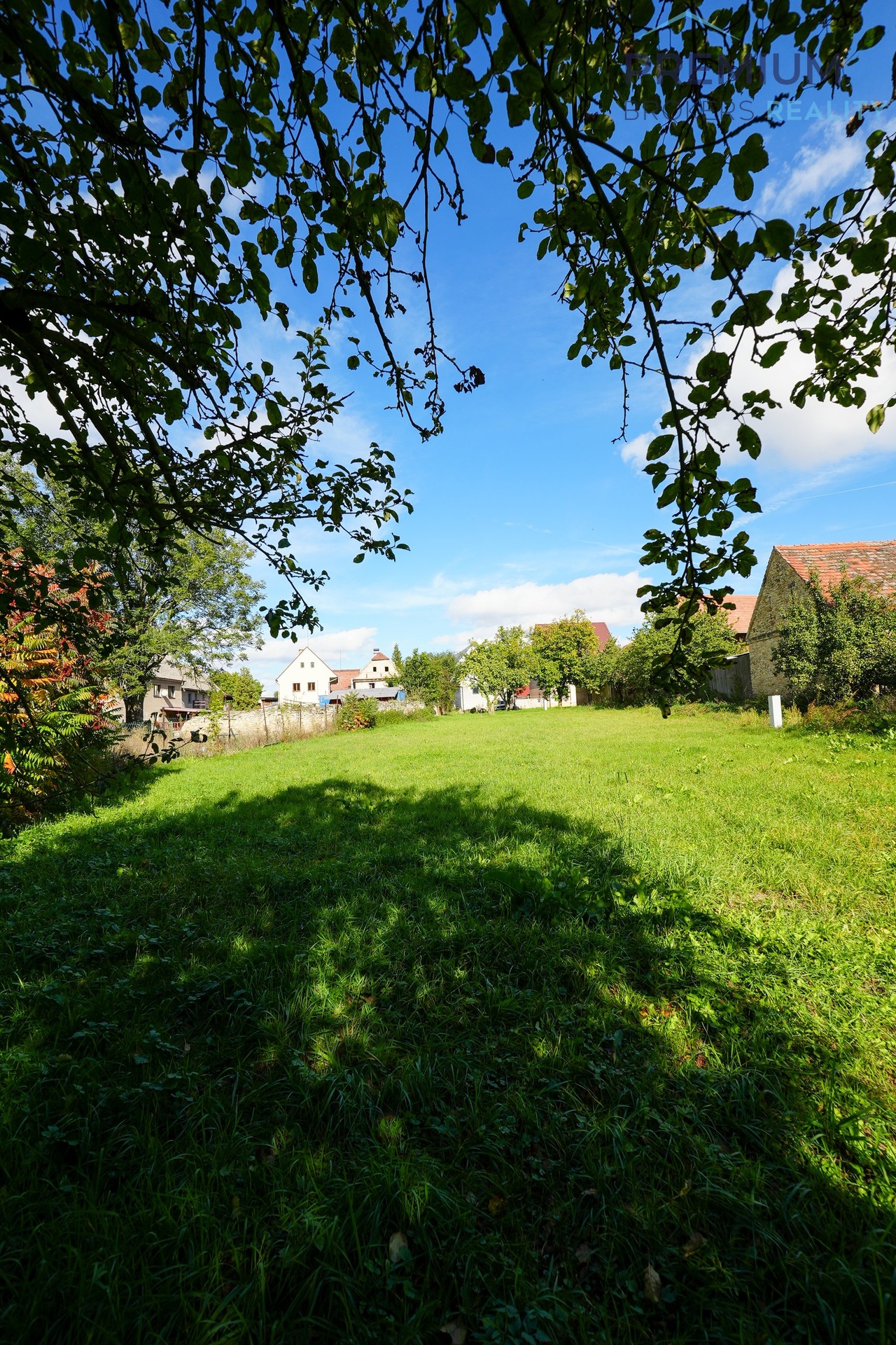 DSC01171