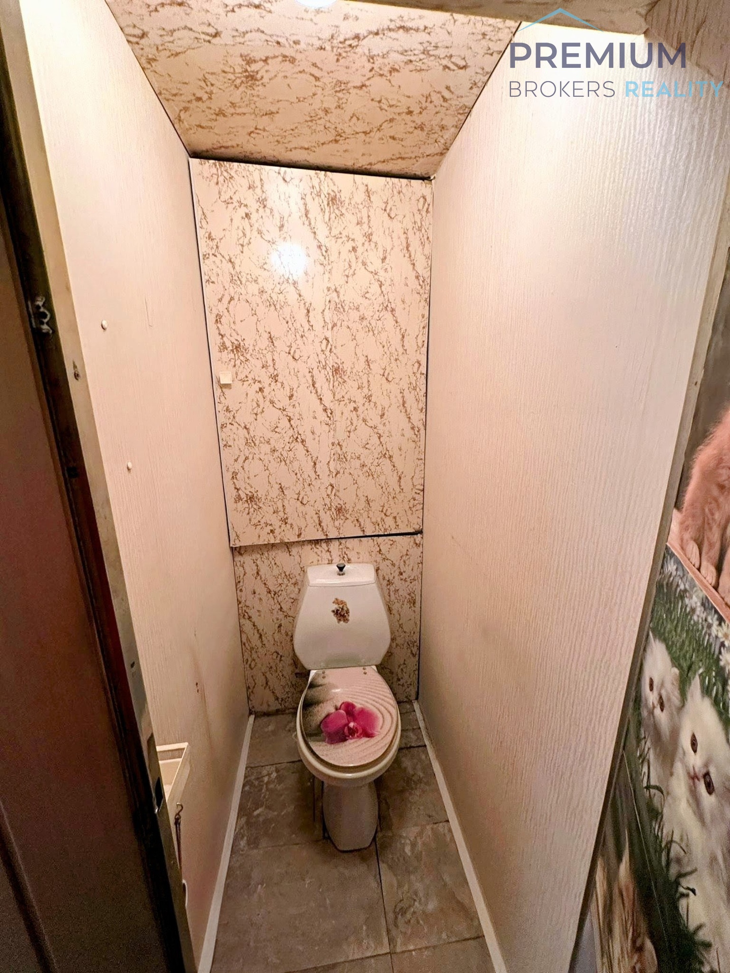 IMG-20260119-WA0012~2