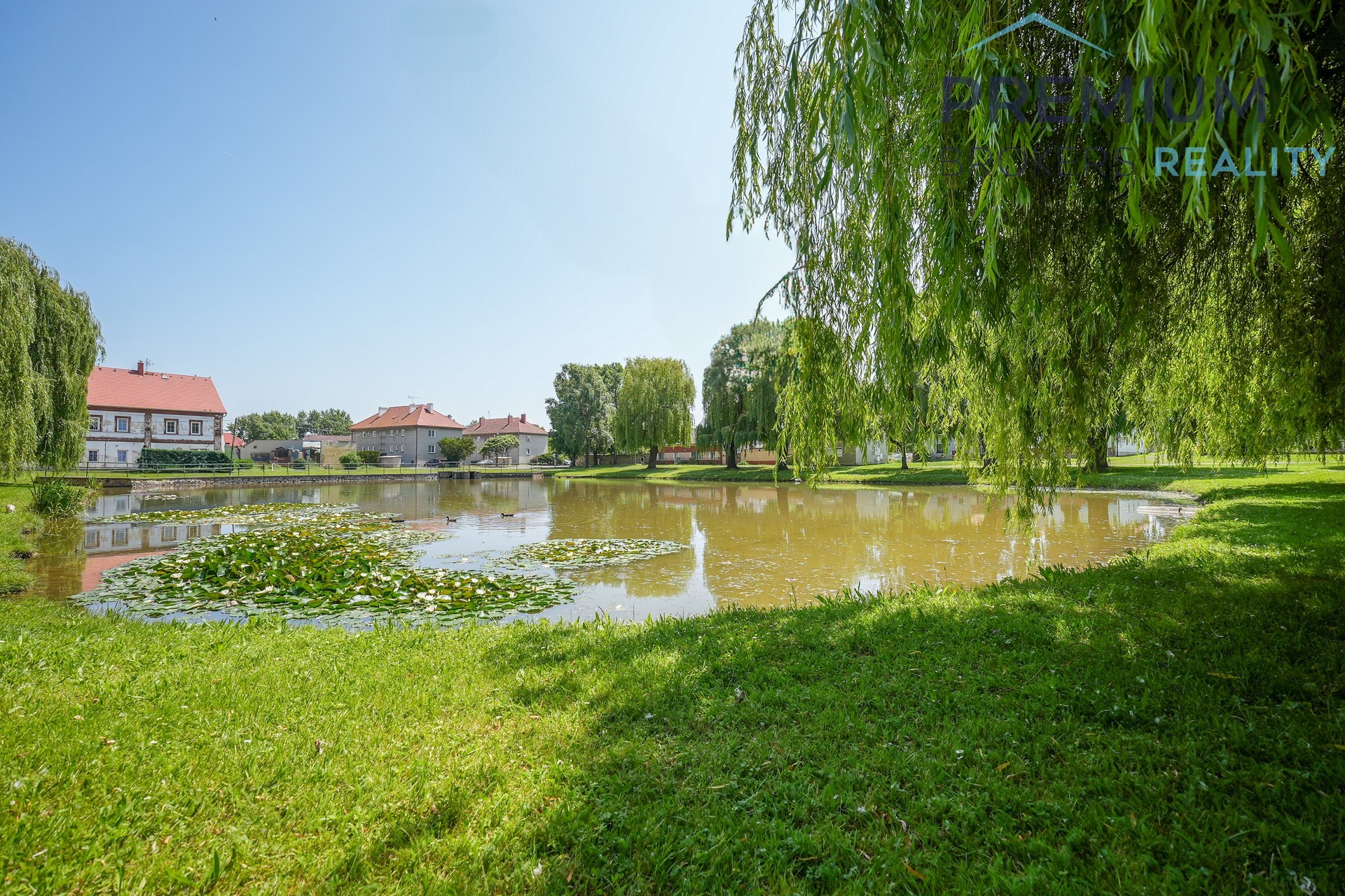 DSC00116